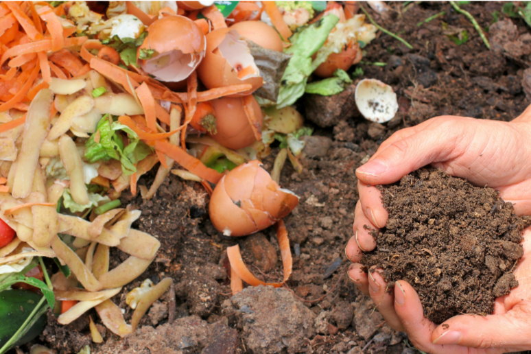 Composting - A Realistic Way to Make a Difference