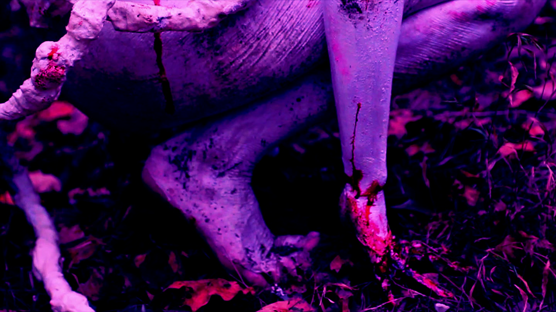 vlcsnap-2012-10-04-06h39m37s21.png