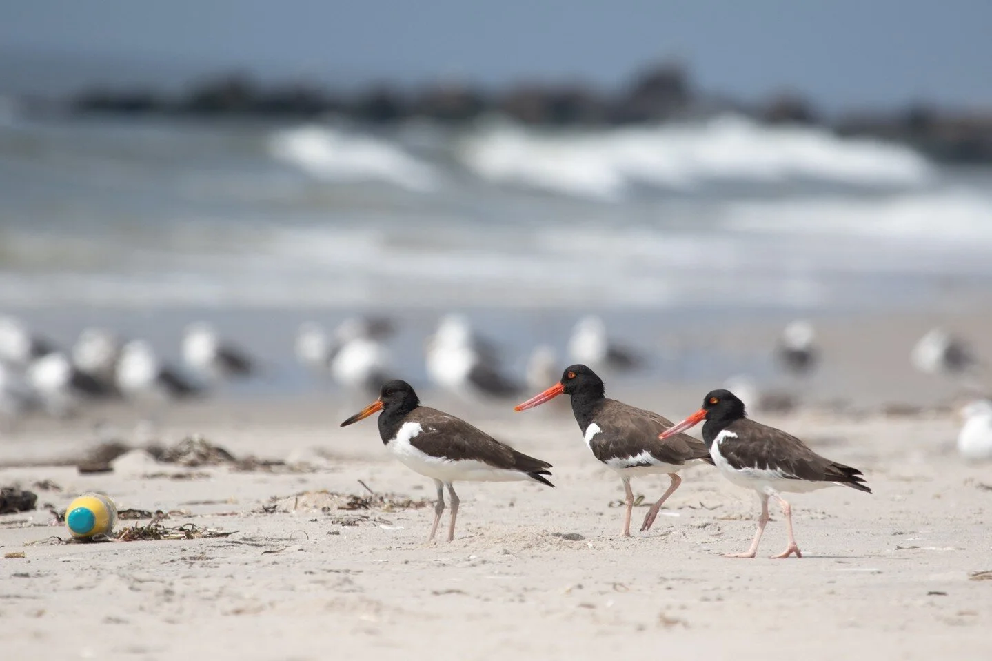 2022, the year I took the plunge. I moved to a city in another country. I started grad school in a field where I had no formal training. I opened myself to new experiences, meeting new people and learning new things.⁠
⁠
Although nerve-wracking (and f