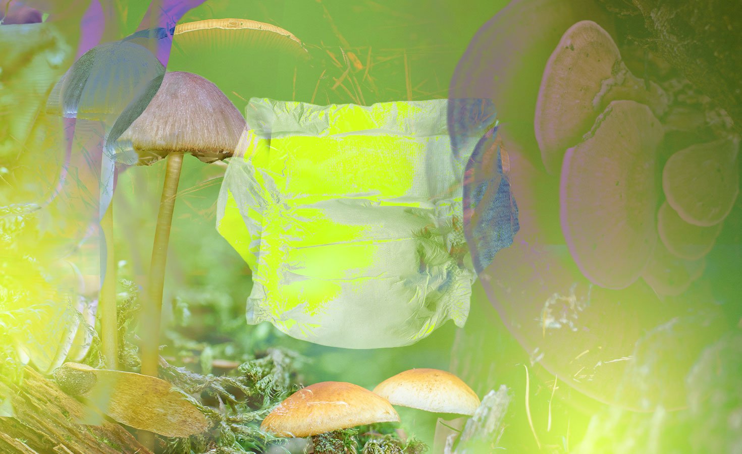 trellis_editorial_header_circular_diapers_06172025_1470x900.jpg