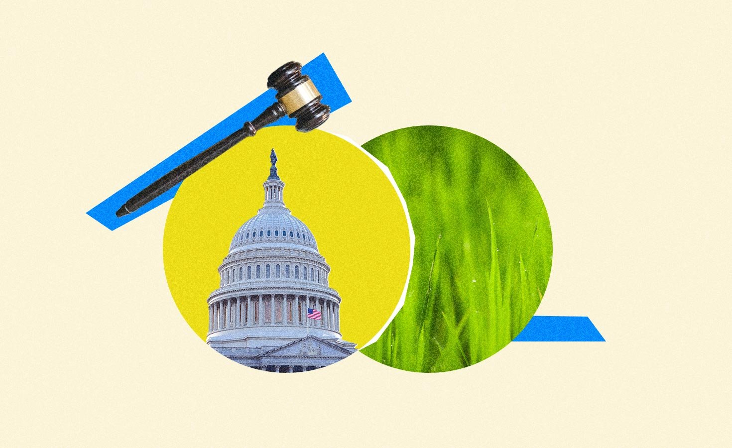 gbg_editorial_header_policy_2_1470x900.jpg