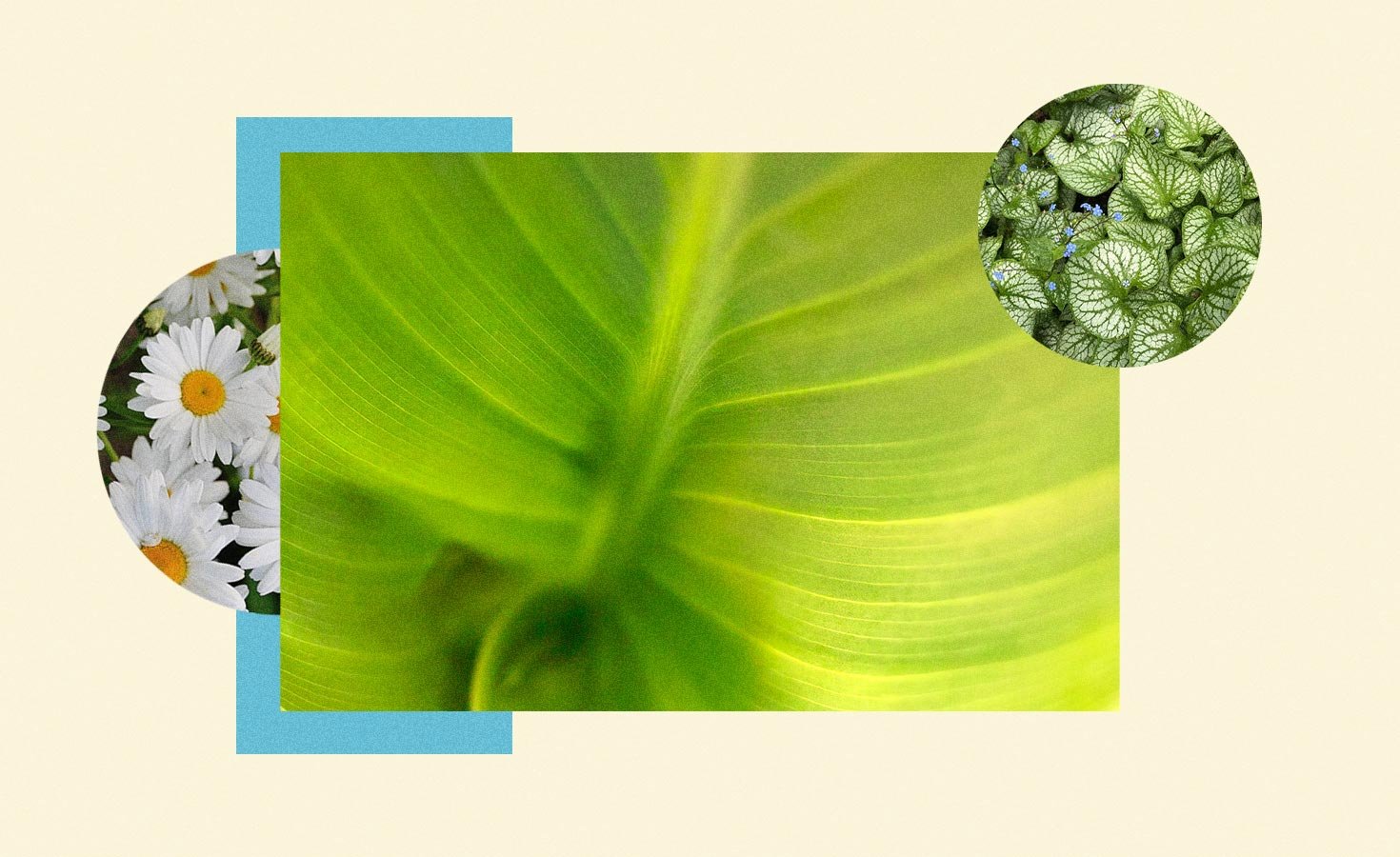 gbg_editorial_header_sustainability_1470x900_v2.jpg