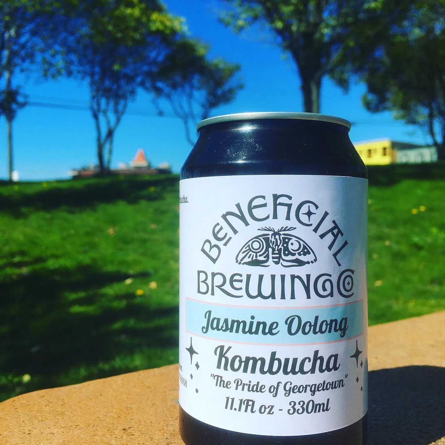 🇬🇧 Afternoon tea, west coast style 😎 Grab a booch for a quick pick me up or just to chill. Always raw, always low sugar #beneficial