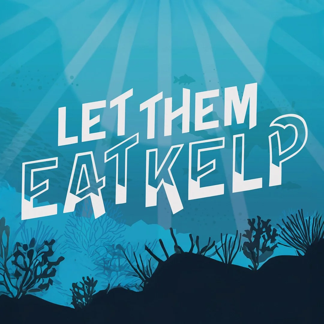 Summer Camp | Let Them Eat Kelp