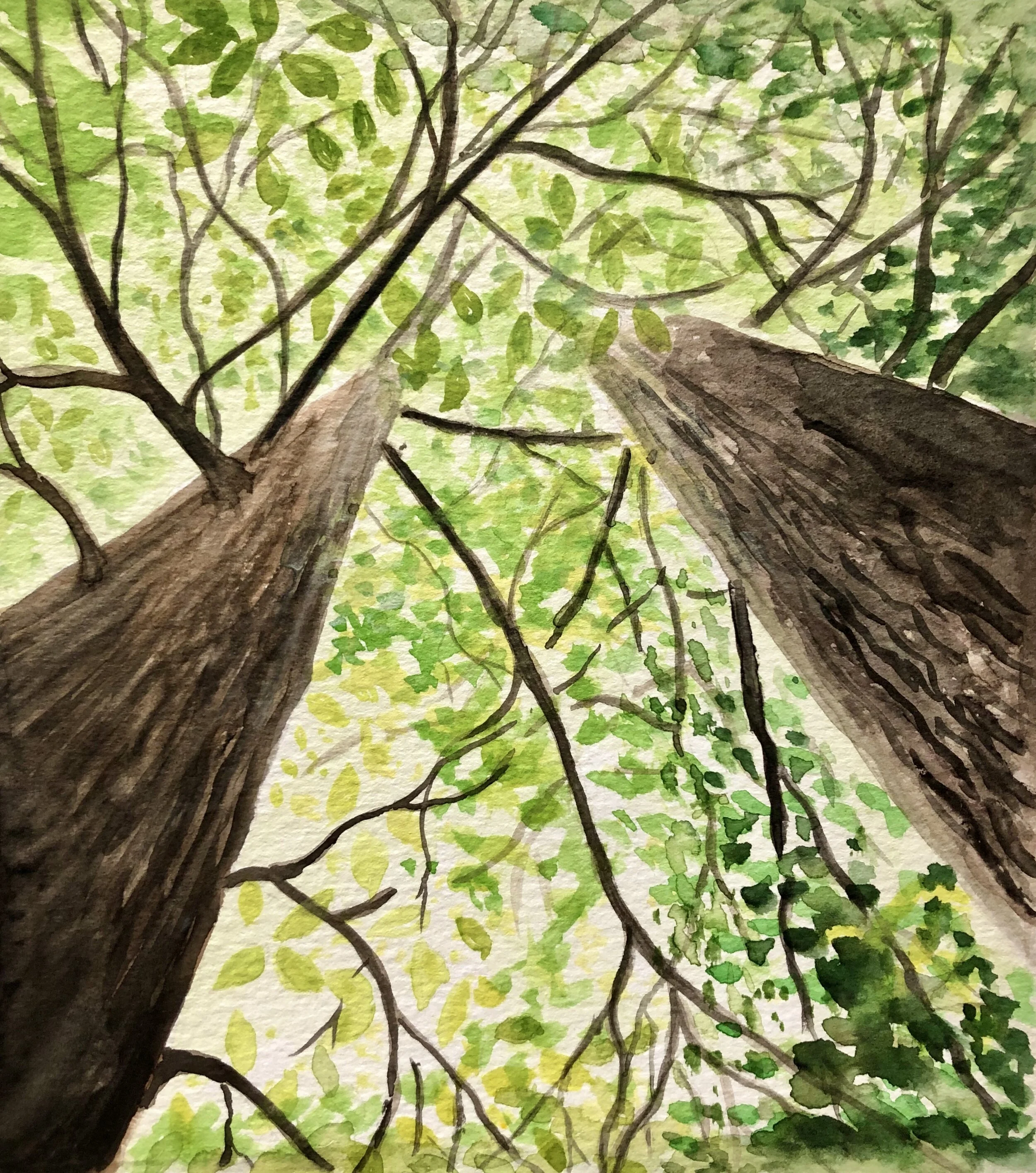 Tree-canopy-artprint