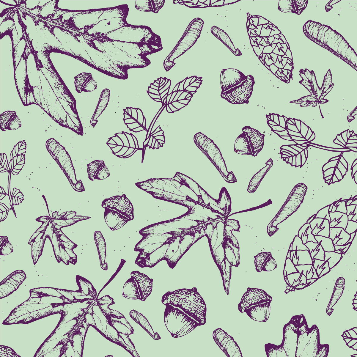 fall_leaves-01.png