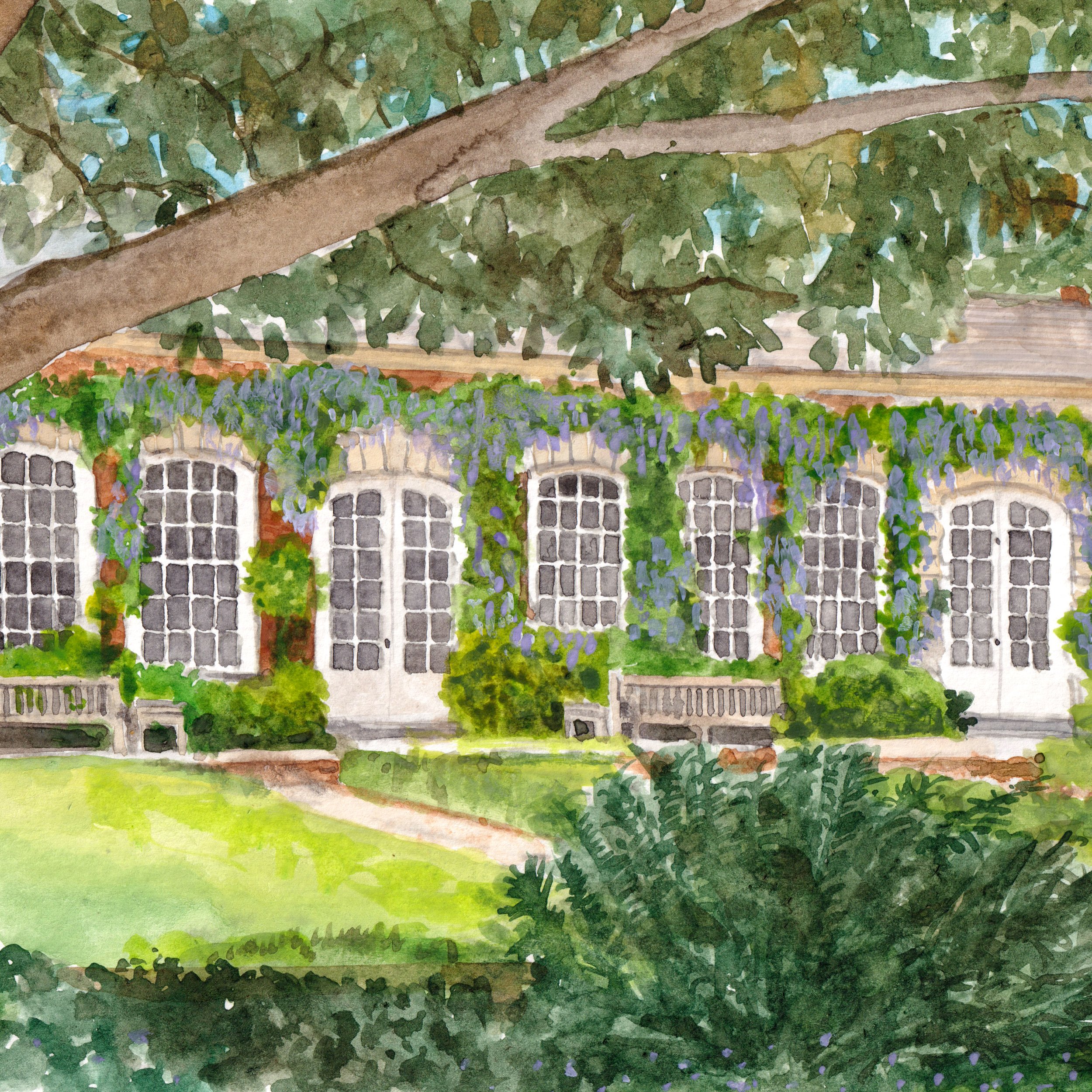 a watercolour illustration of The Orangery at Goldney House