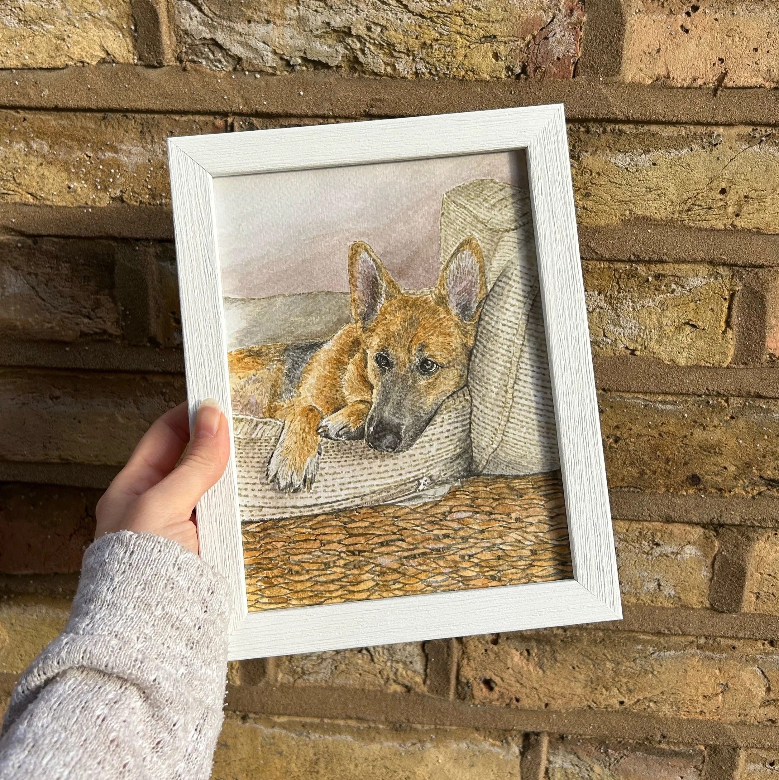 A framed watercolour painting of an alsatian dog against a brick wall