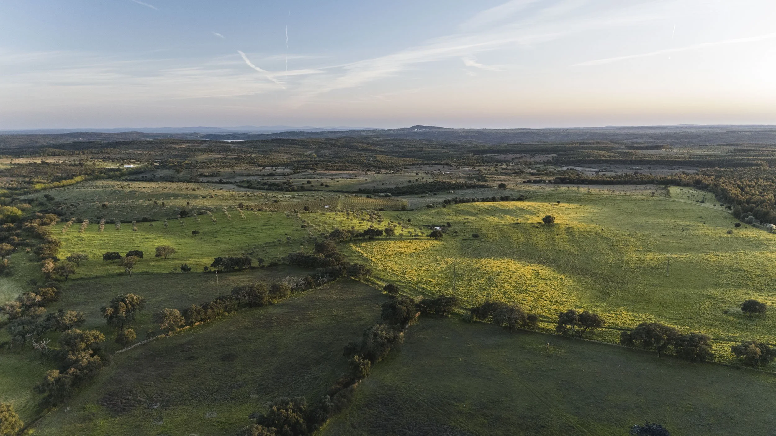 20250331-20250331-DJI_20250331193703_0022_D.jpg