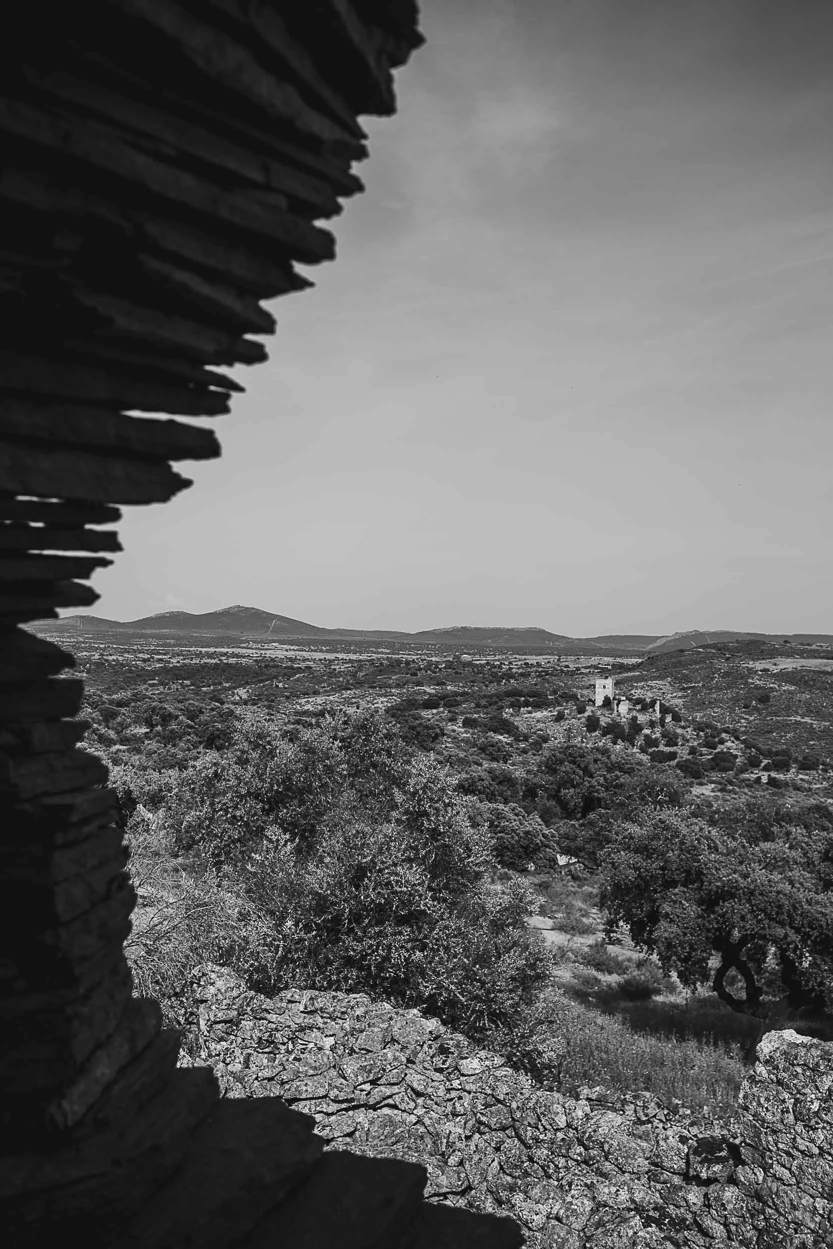 NG_JLC_Abril2026-5.jpg