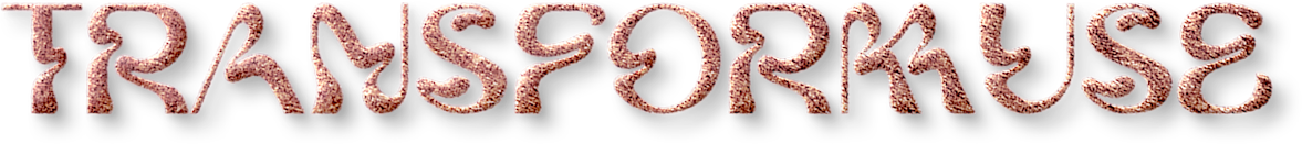 The word 'TRANSFER' written in textured cookie-like font with a shiny appearance.