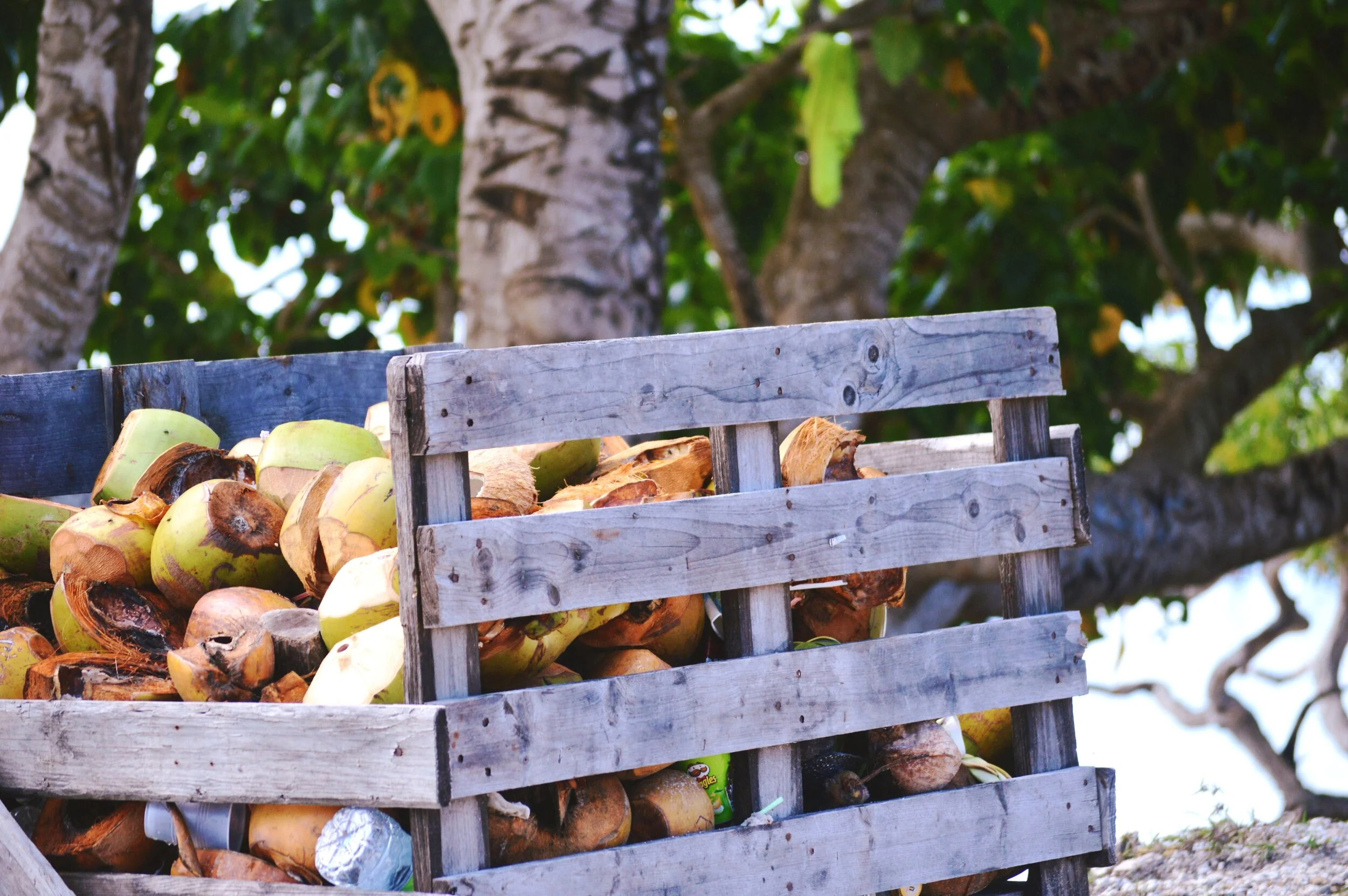 History of New Caledonia