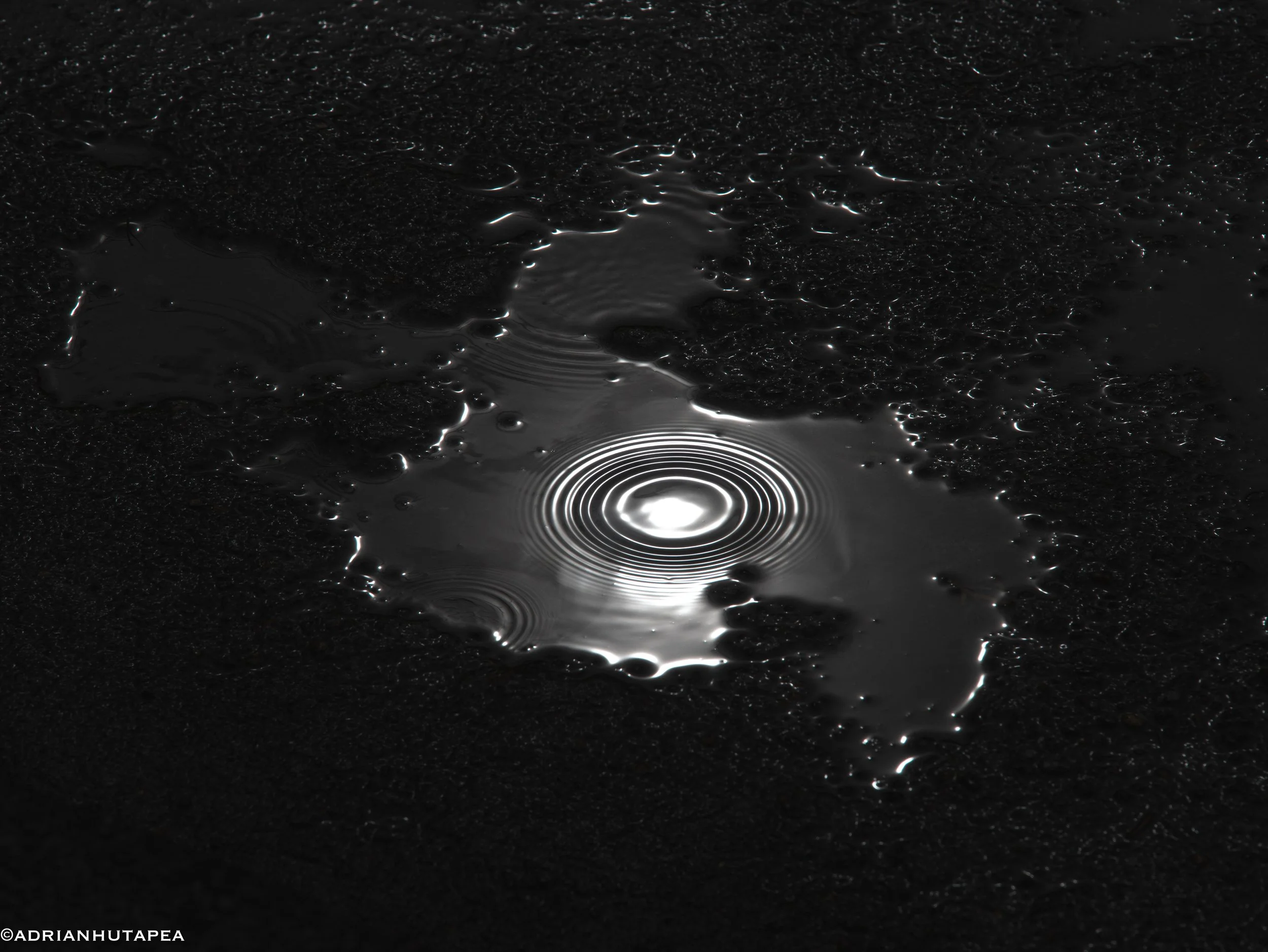 Sunshine in a Puddle-1.jpg