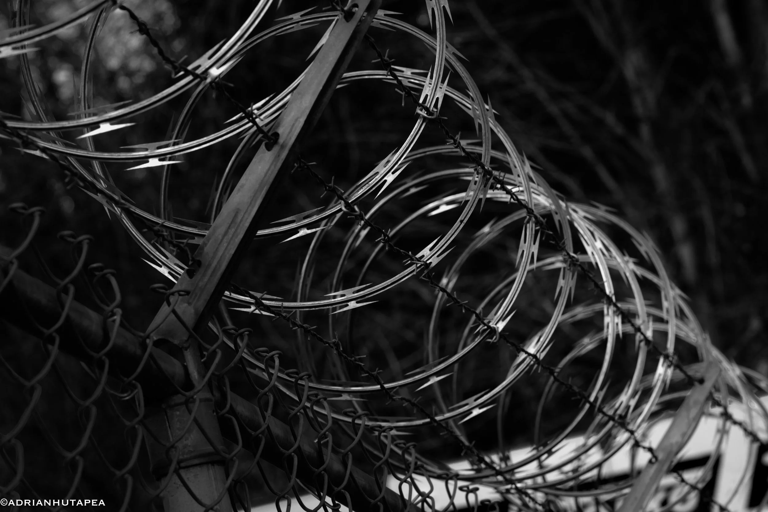 razor wire.jpg