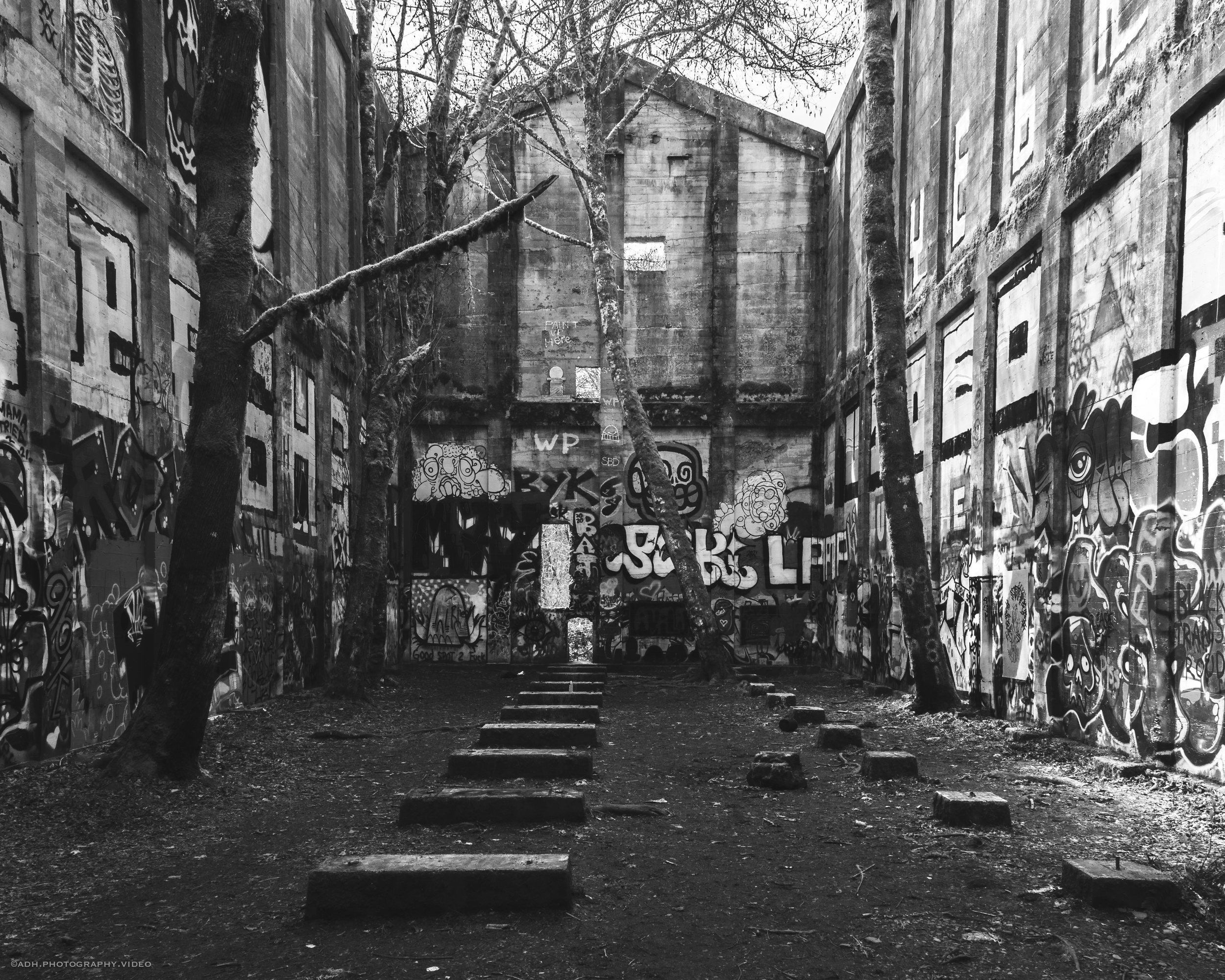 An urban alley with graffiti-covered walls, trees, and a series of small stairs leading up the alley.