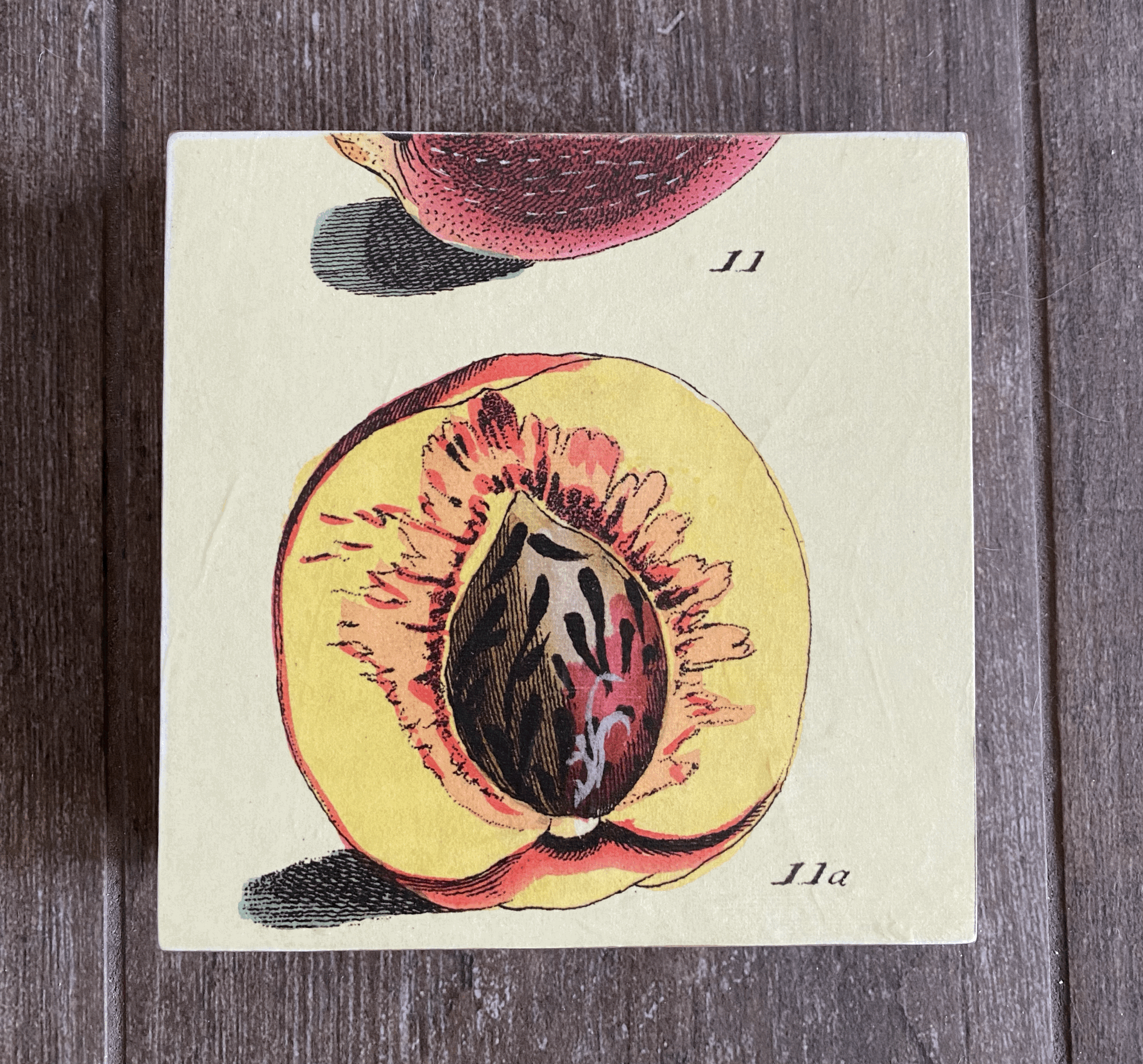 Peche 6"x6"