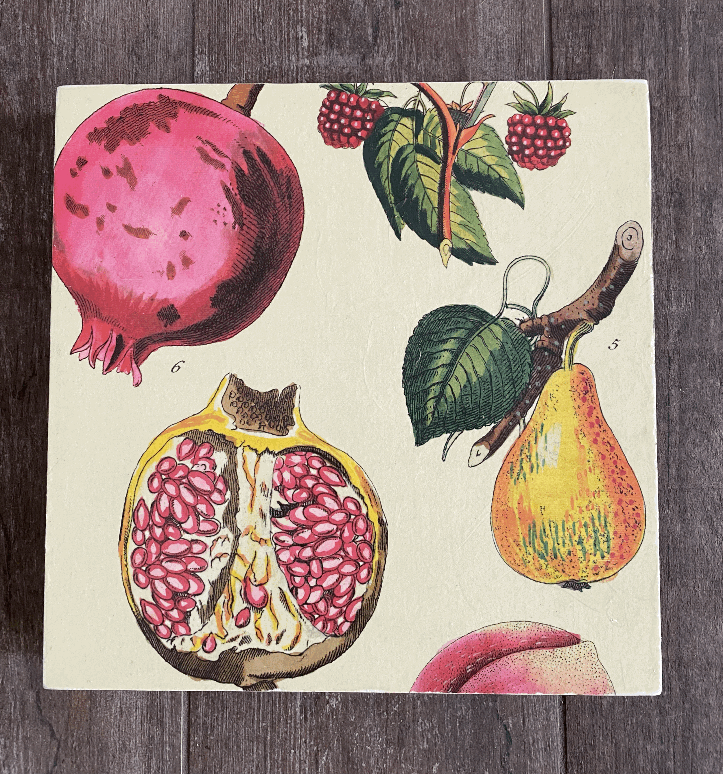 Pomegranate 12"x12"