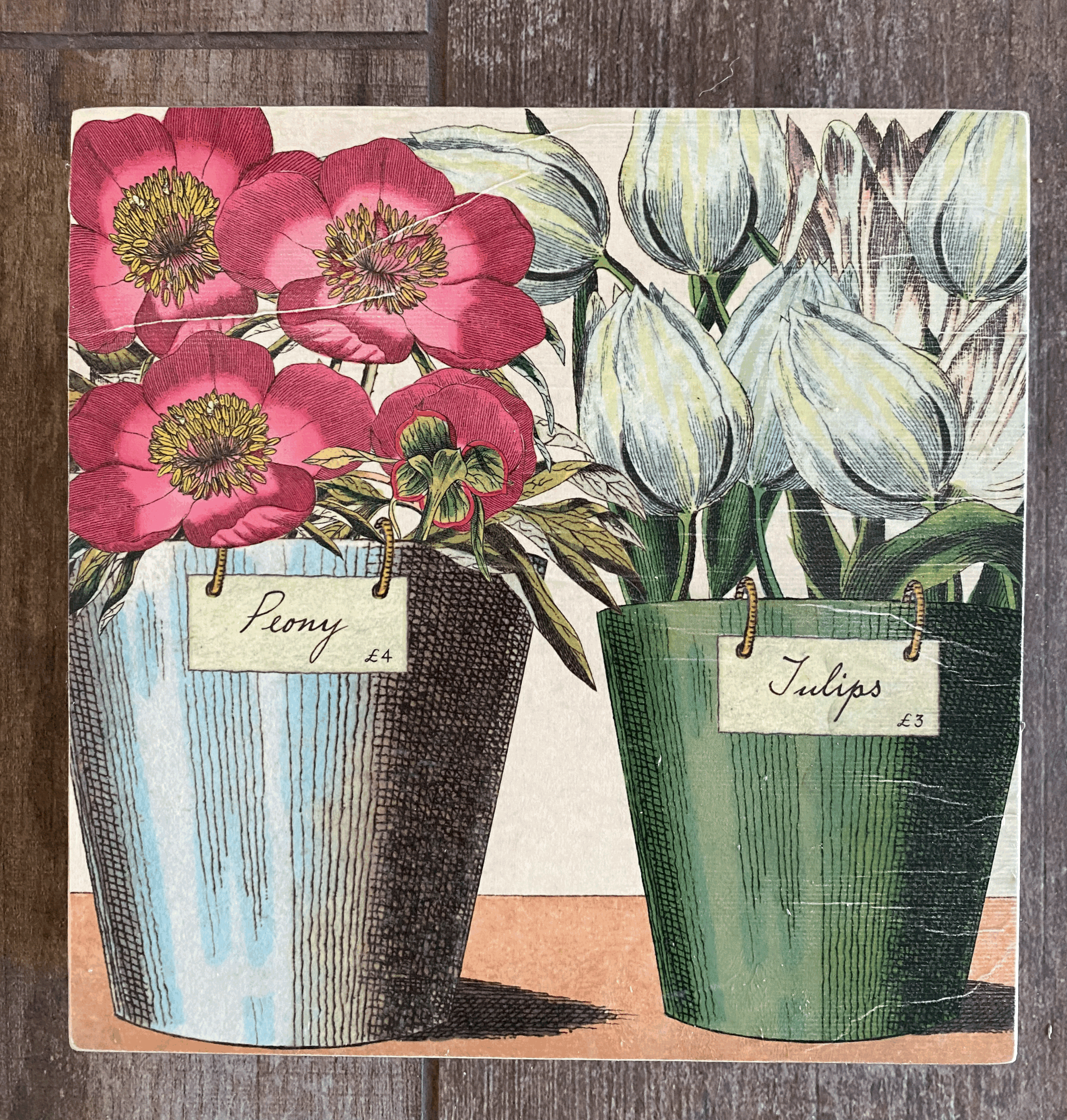 Tulips + Peonies 8"x8"