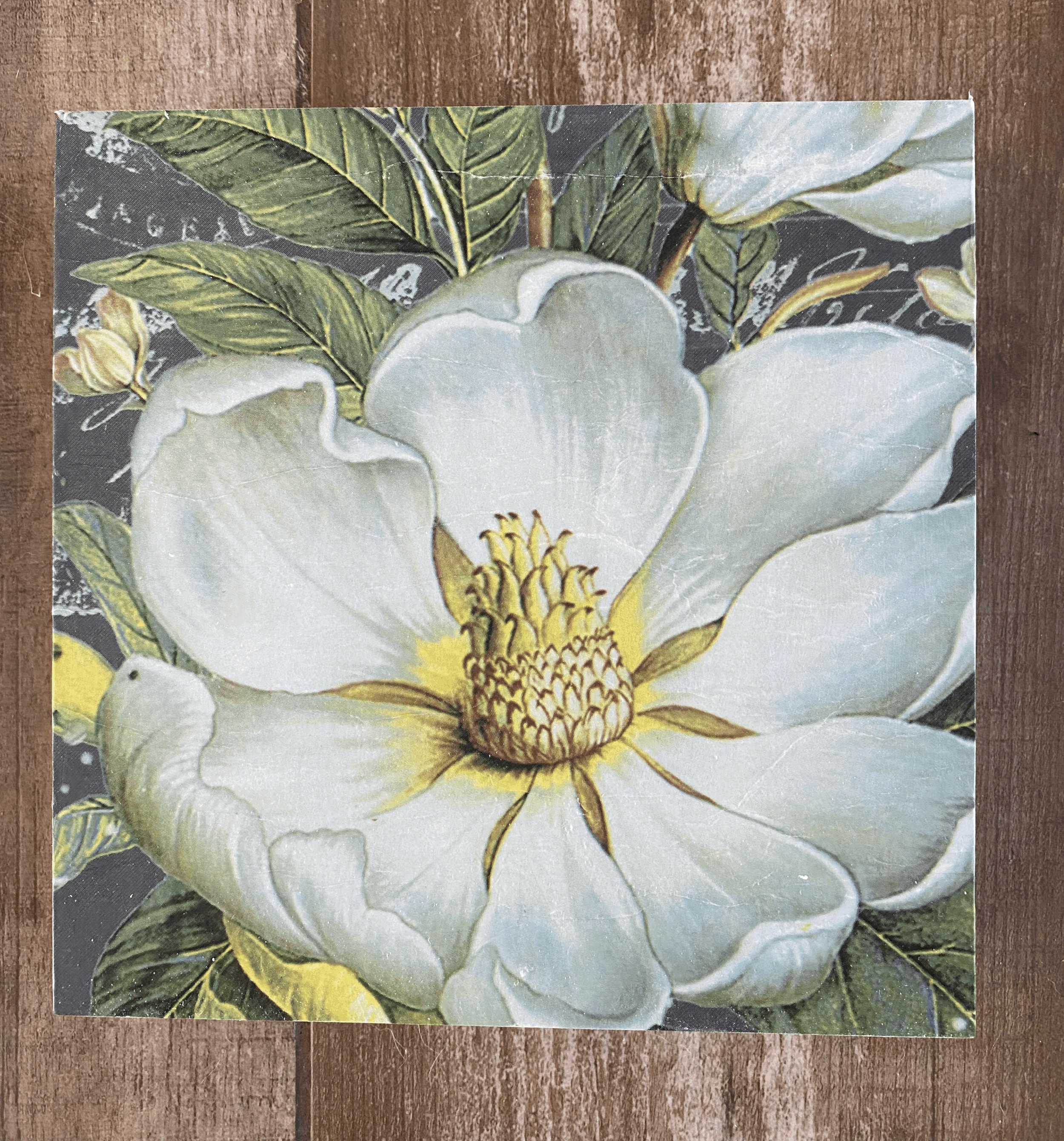 Magnolia 8"x8"