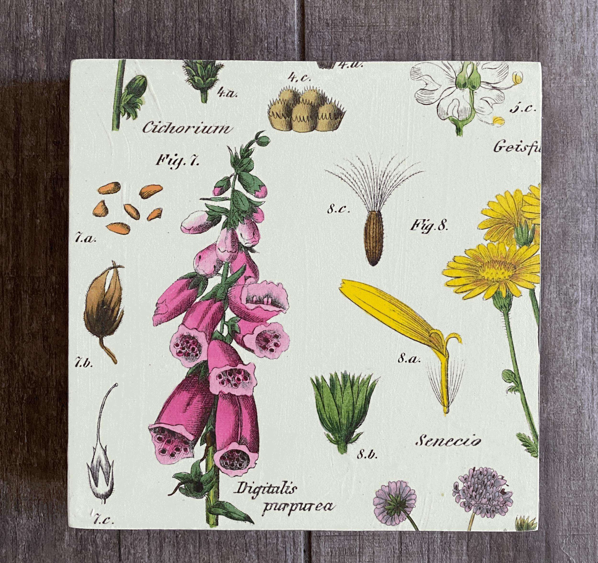 Wildflowers 8"x 8"