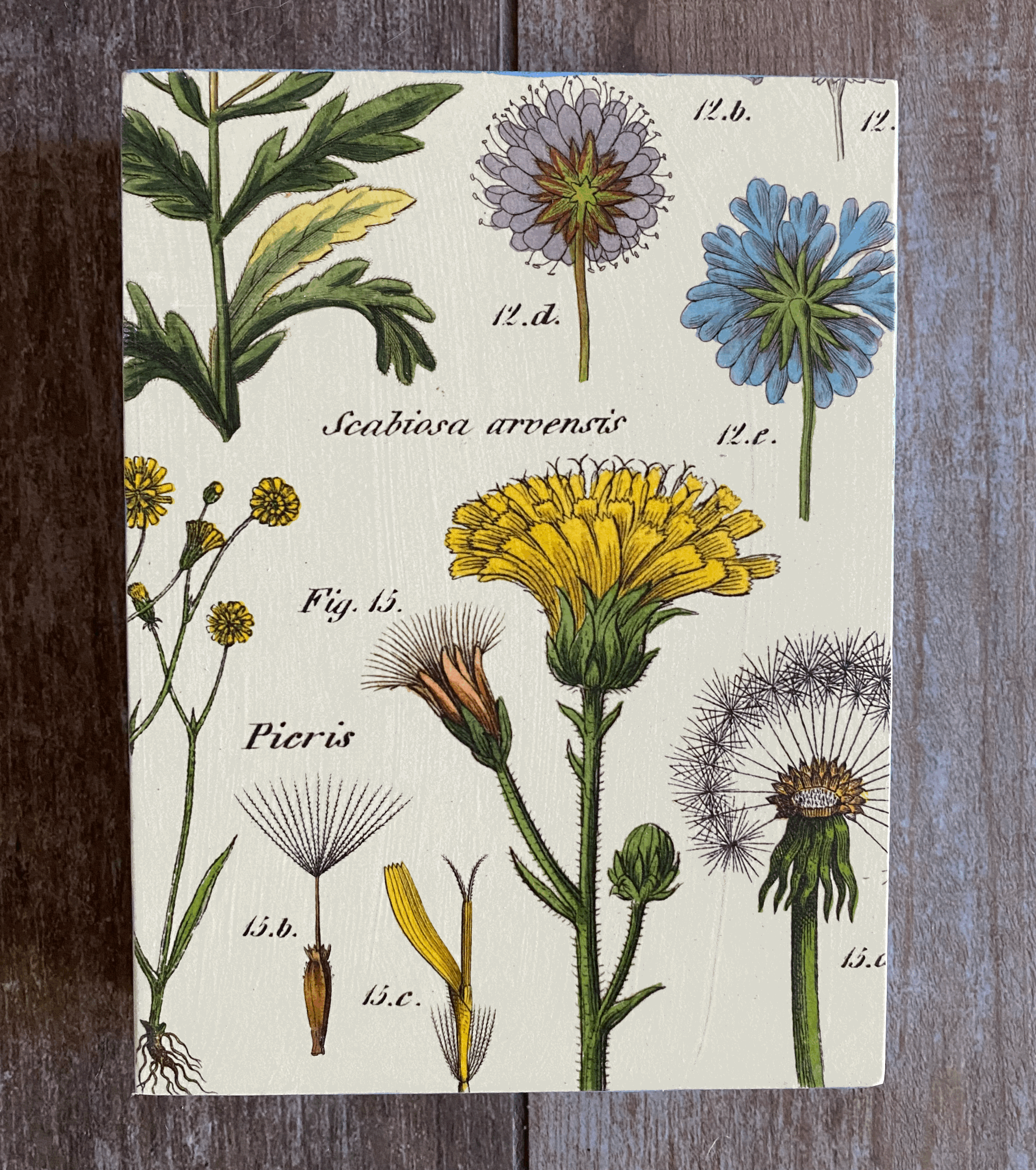 Wildflowers 8"x 6"