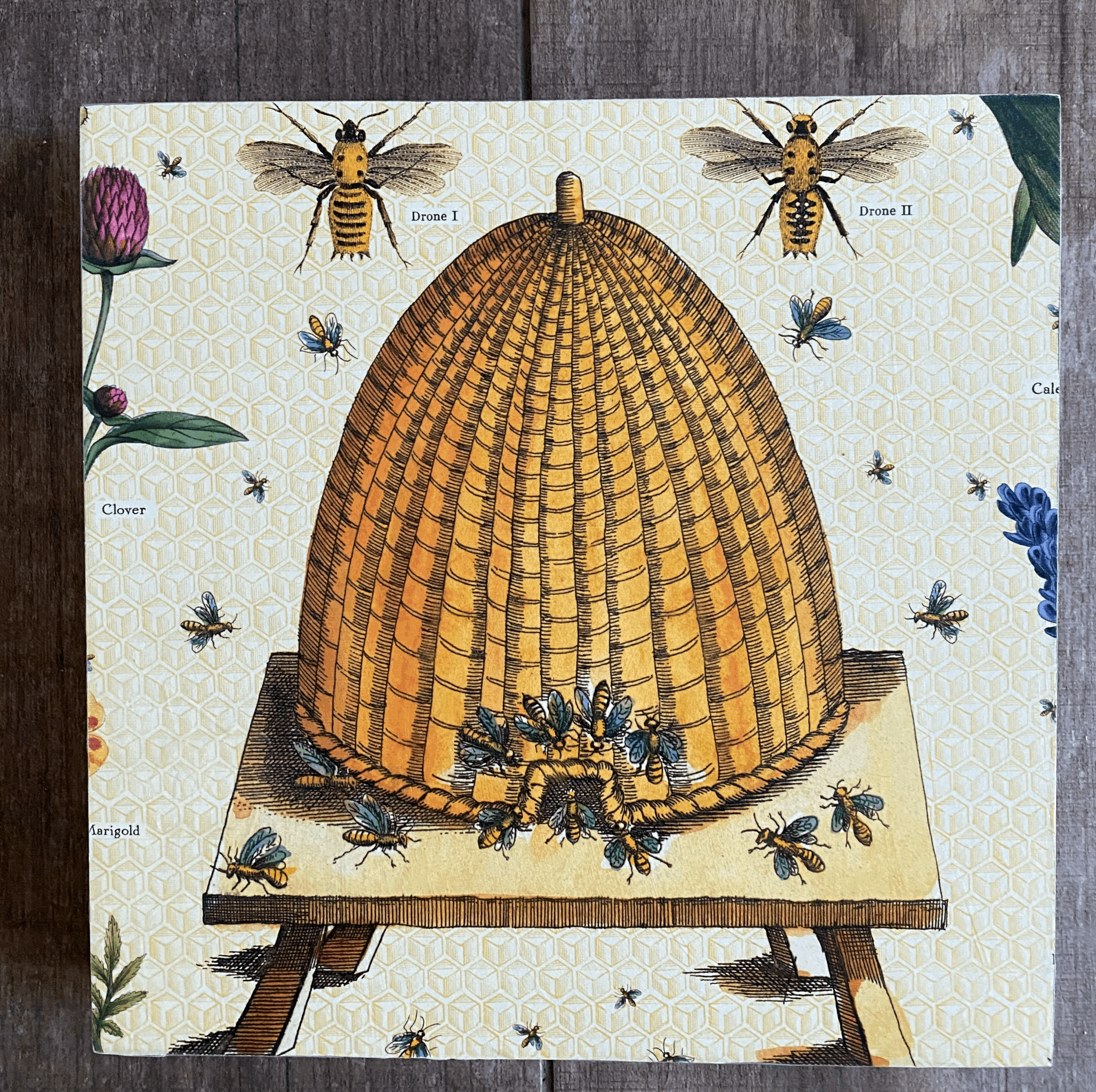 Bee Hive 12"x 12"