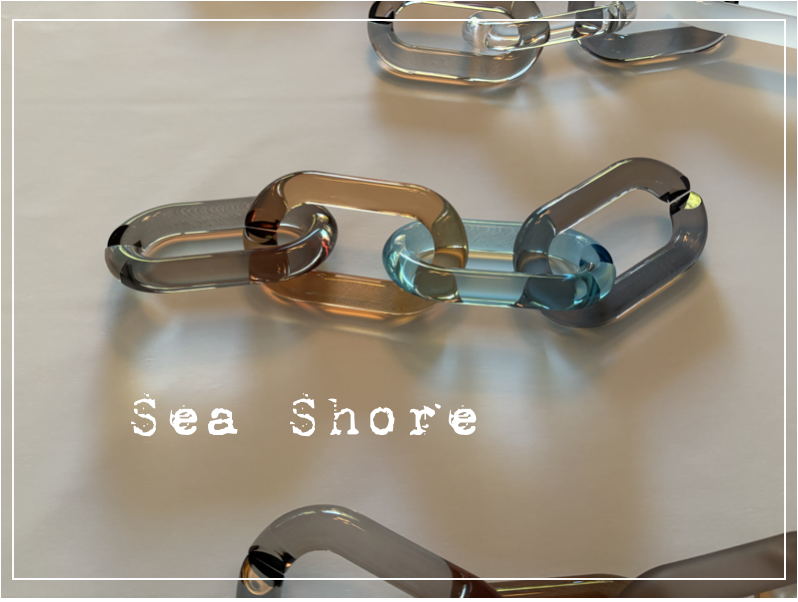Four Link Sea Shore .png