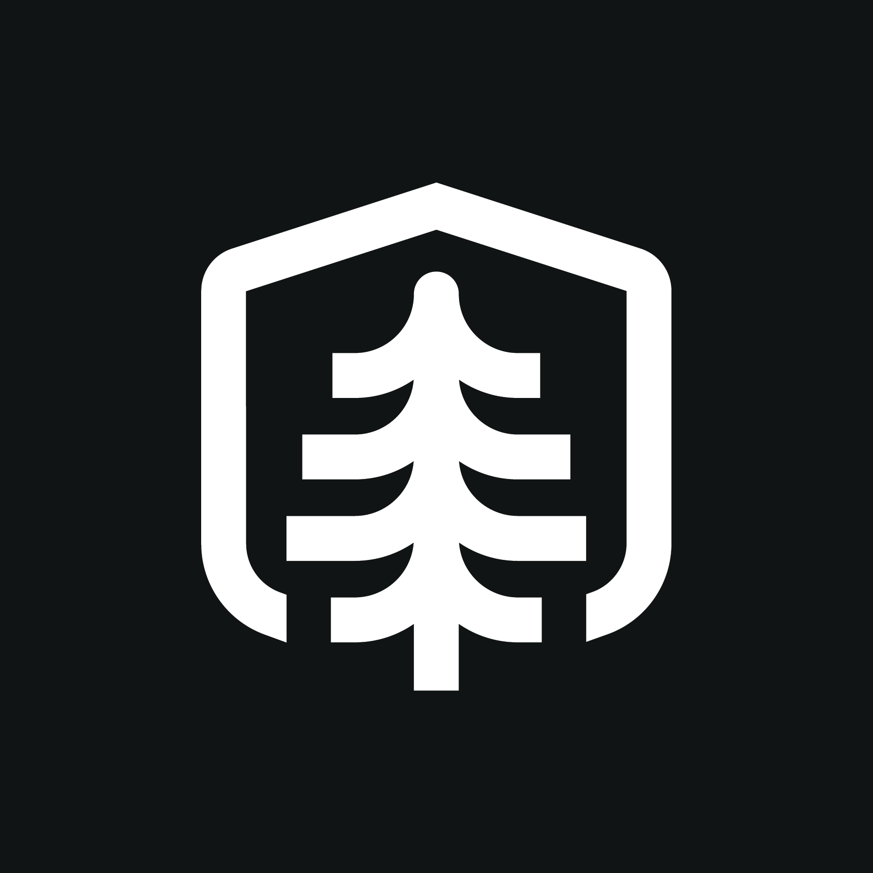  Palmer Conservancy 
Non-Profit 
2020