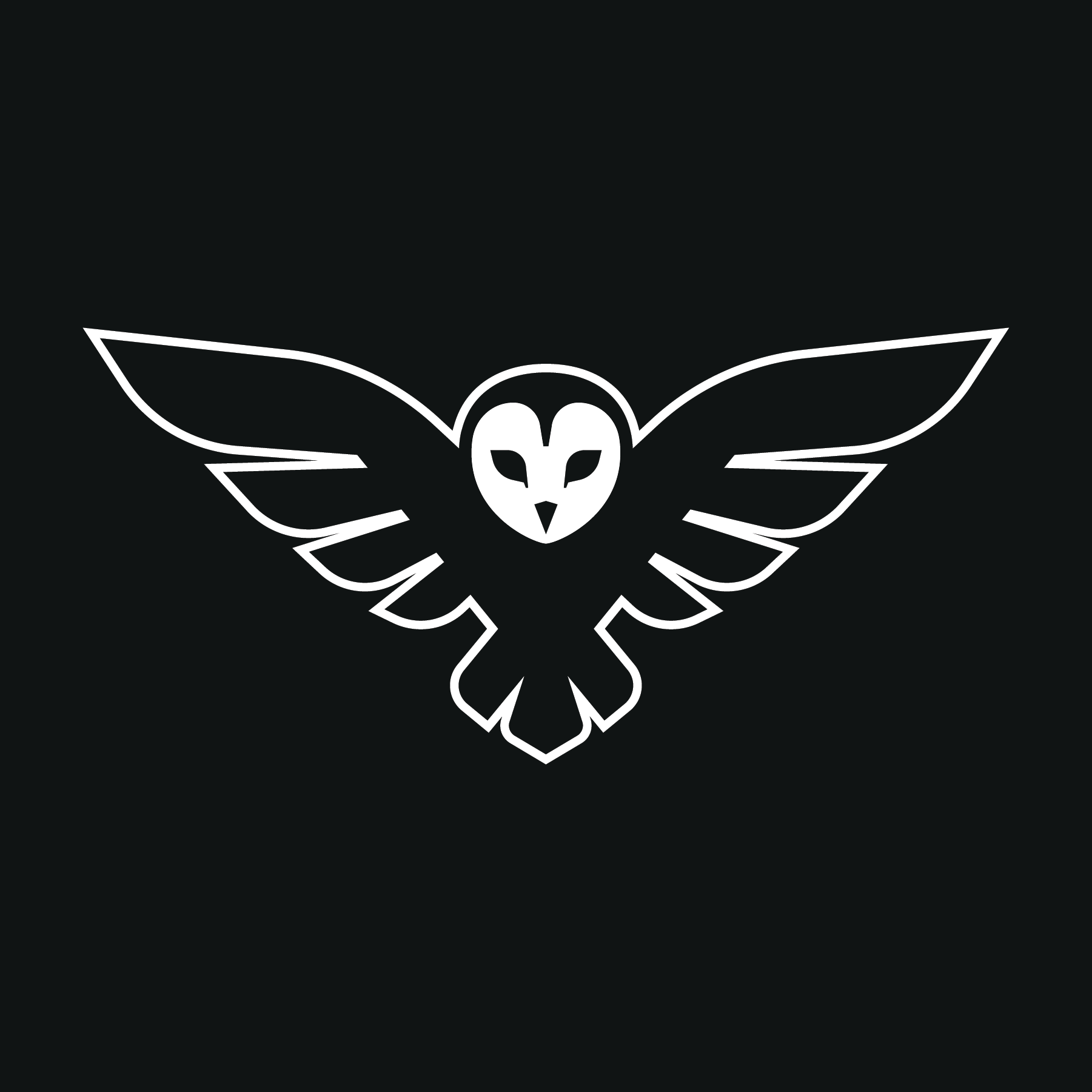  Barn Owl 
Security Technology
2020