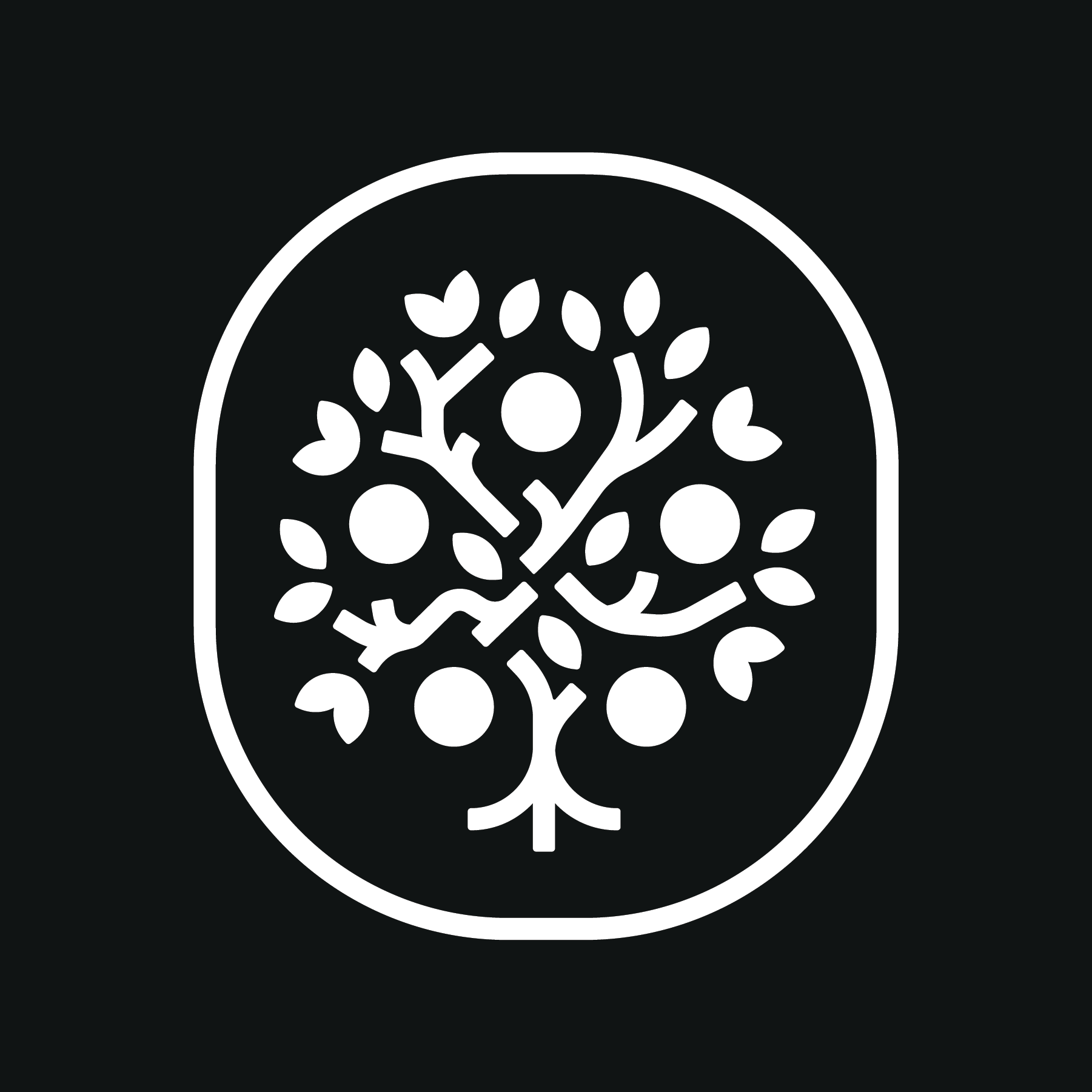  Fair Table Grocery 
Non-profit
2025