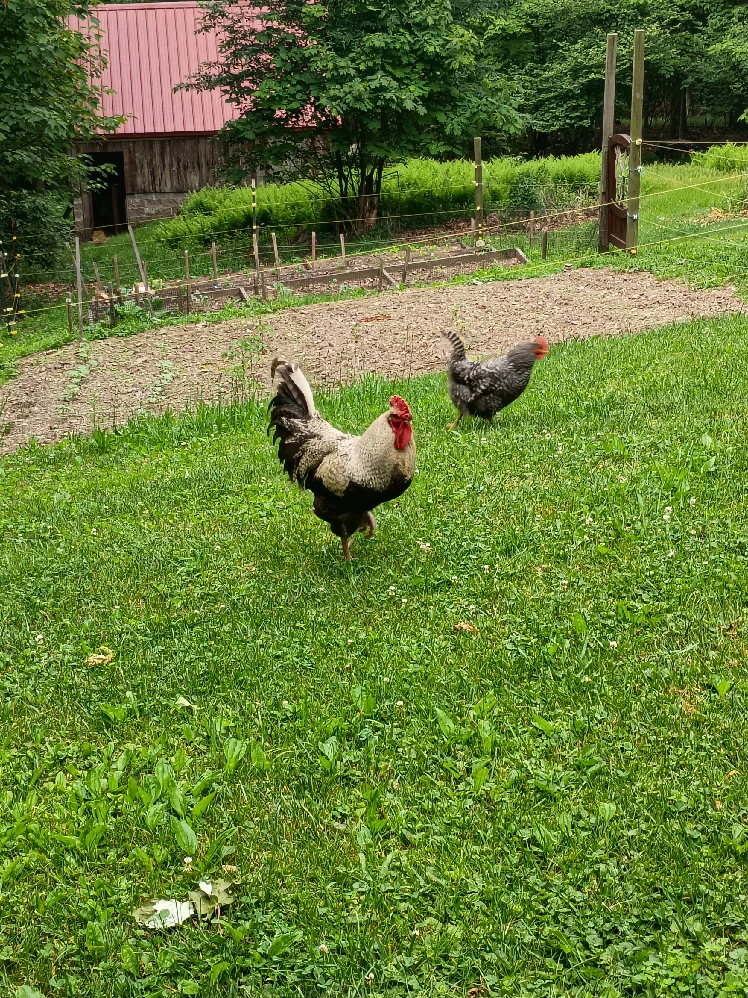 Another Summer Day