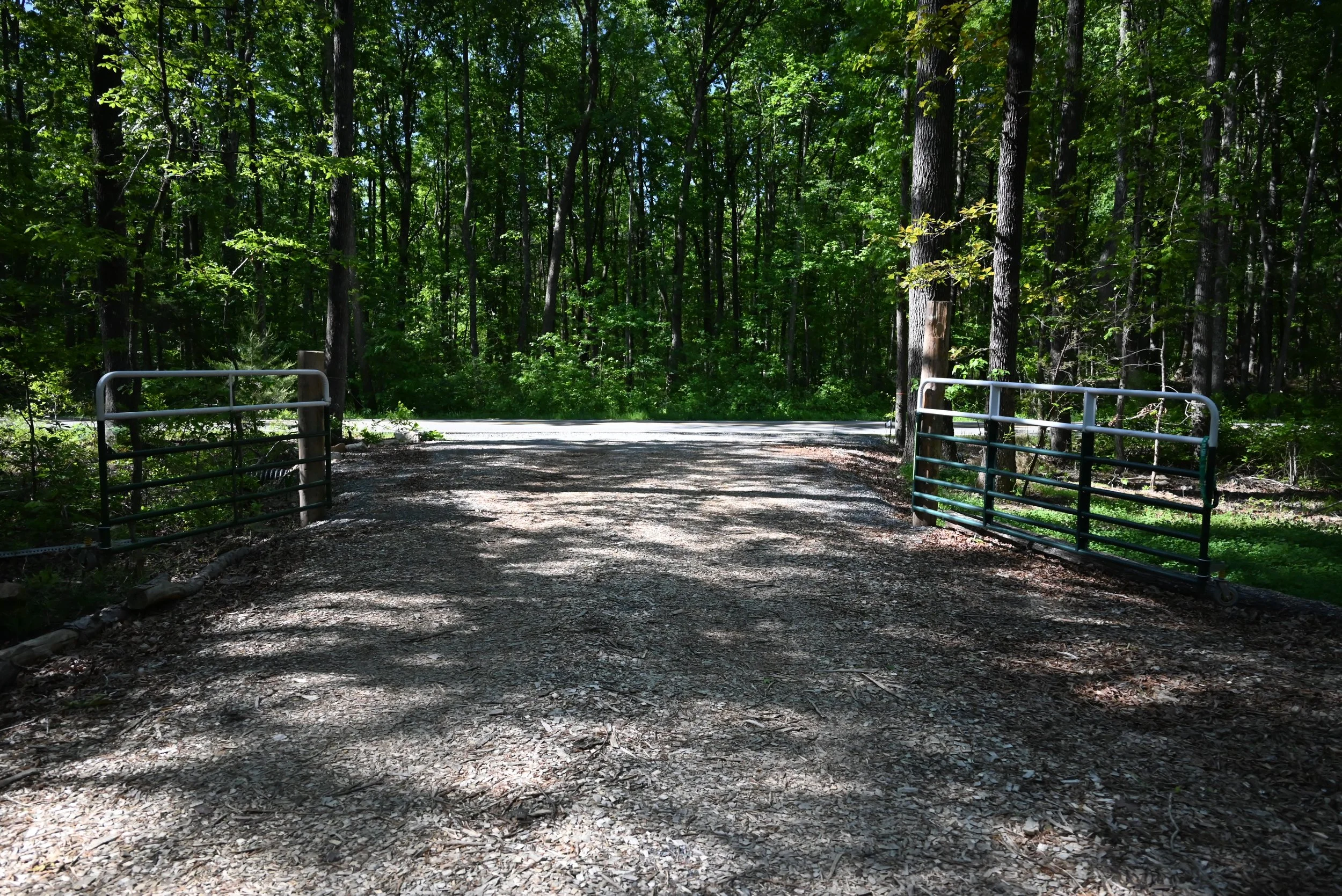 DSC_0899.jpg