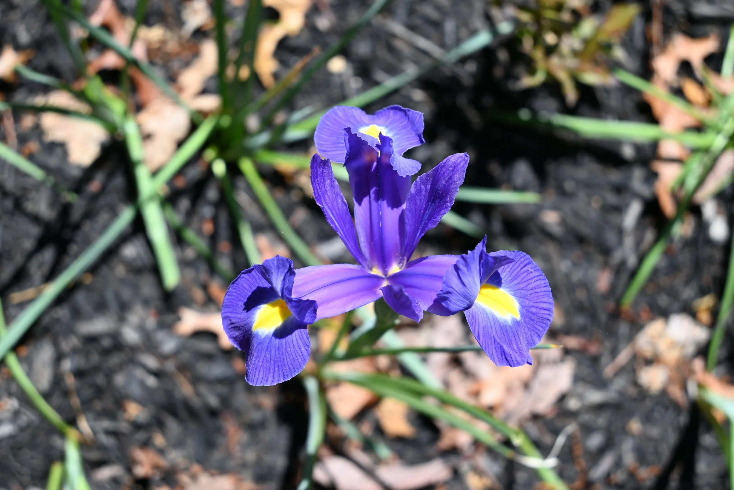 DSC_1002.JPG