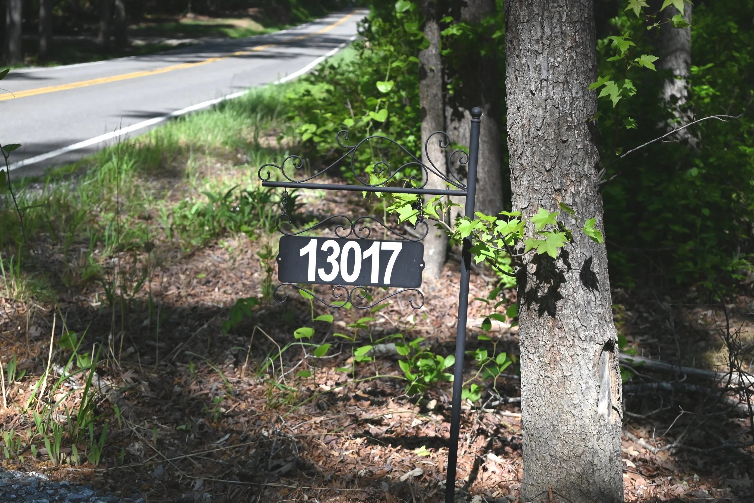 A tree with textured bark standing next to a black metal yard sign with white numbers "13017." The sign is in a wooded area near a road with a yellow dividing line, surrounded by green foliage and grass.