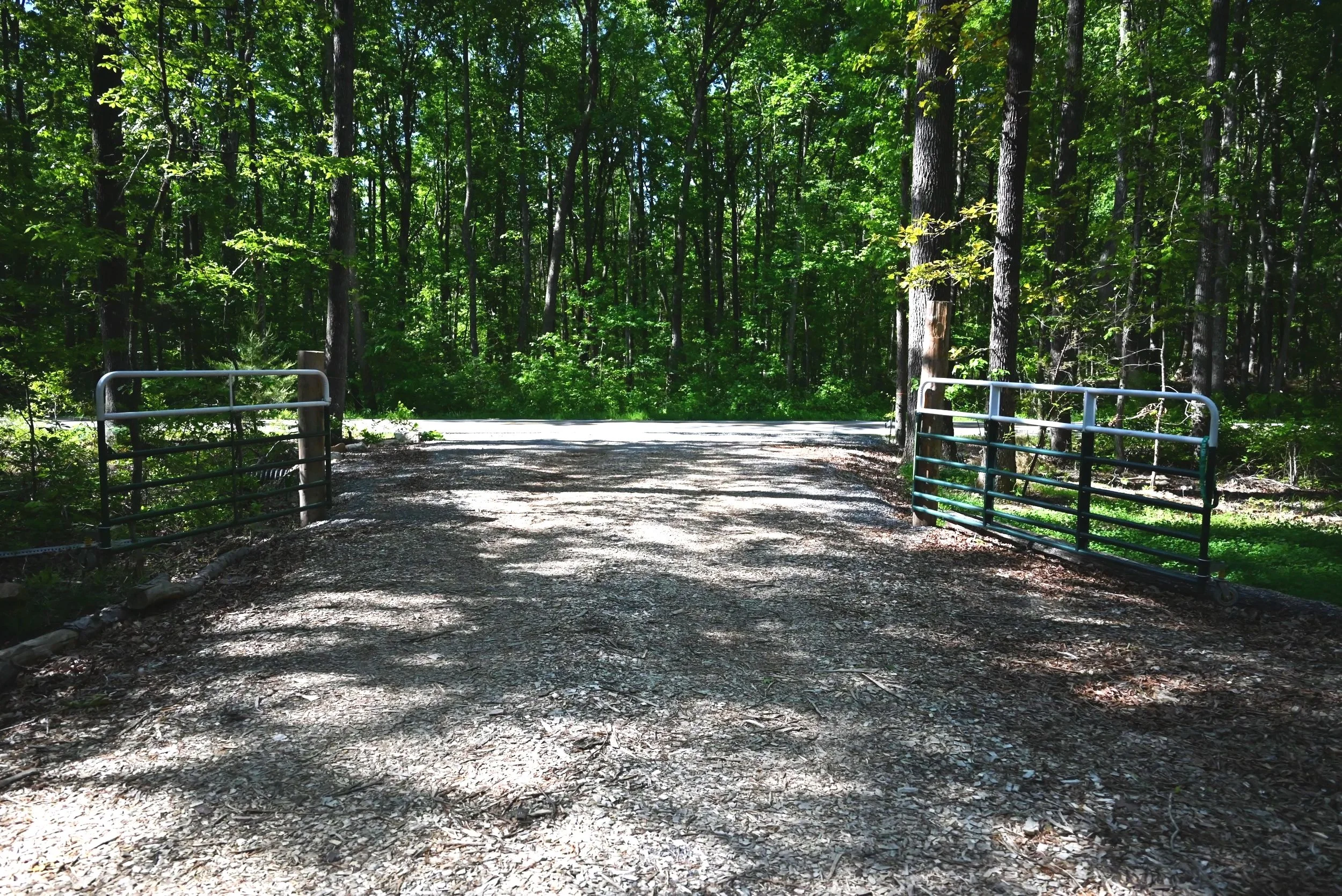 A gravel driveway in a lush green forest with trees on both sides and metal gate on each side of the path.