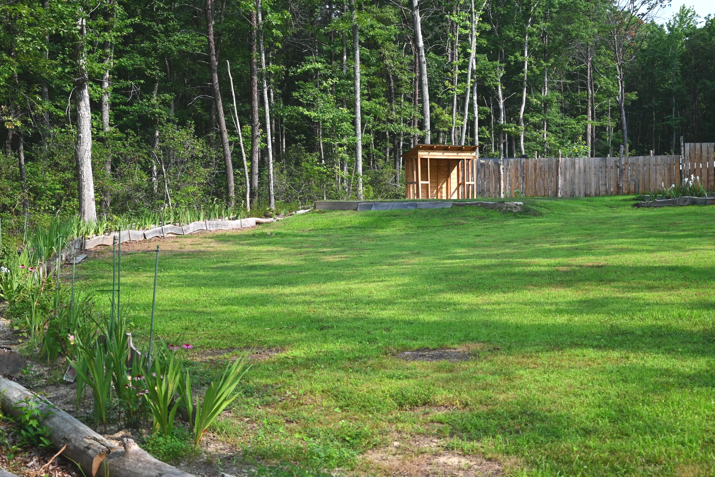A backyard with a wooden shed against a background of trees and a weathered wooden fence. The yard has a well-manicured grassy area and garden bed with green plants and some flowers along the left side.