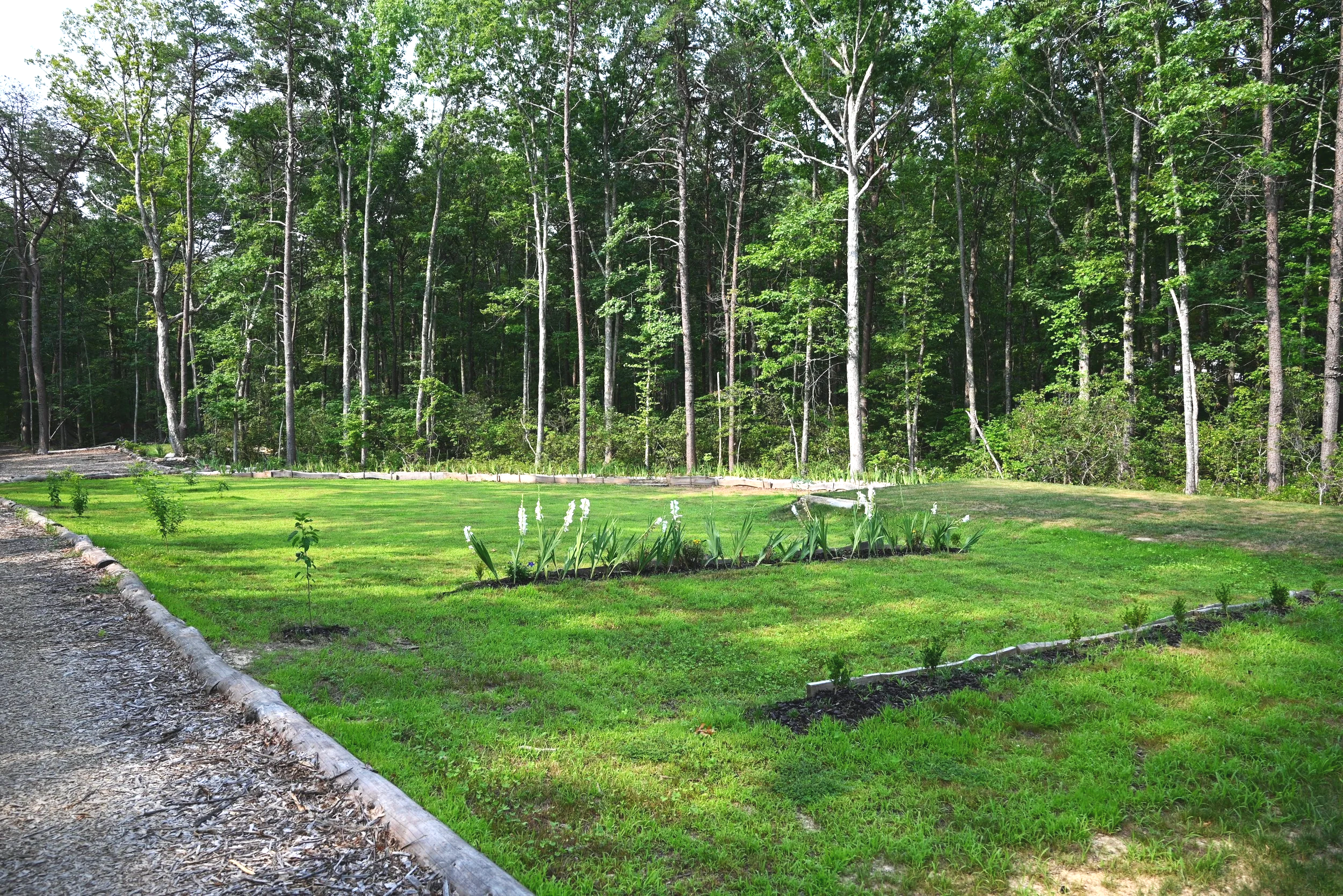 A yard with a well-maintained lawn, flower bed, and tall trees in the background.
