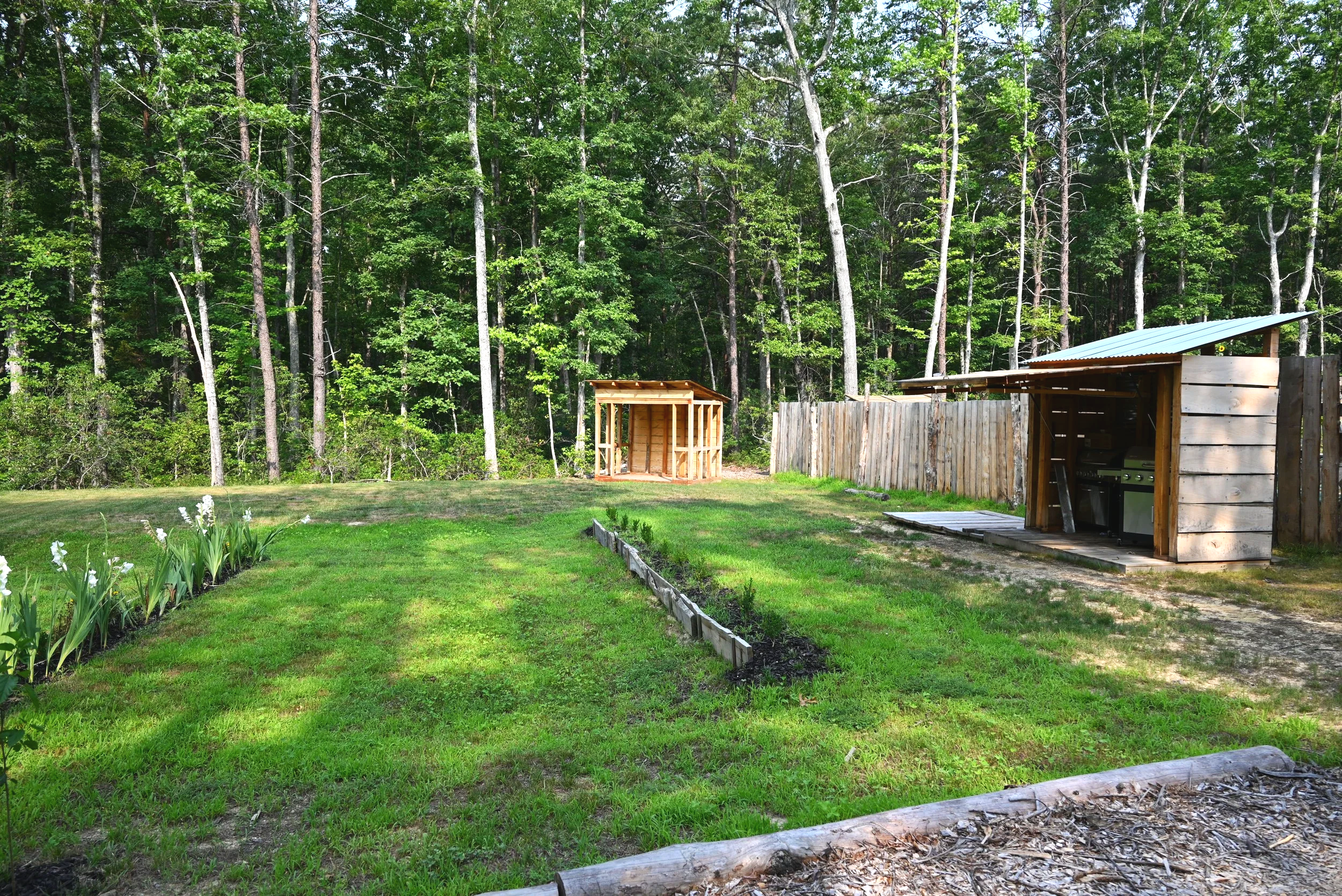 A yard with a grassy lawn, flower bed, wooden shed under construction, and a wooden fenced area with a covered outdoor kitchen and grill, all set against a backdrop of a dense forest with tall trees.