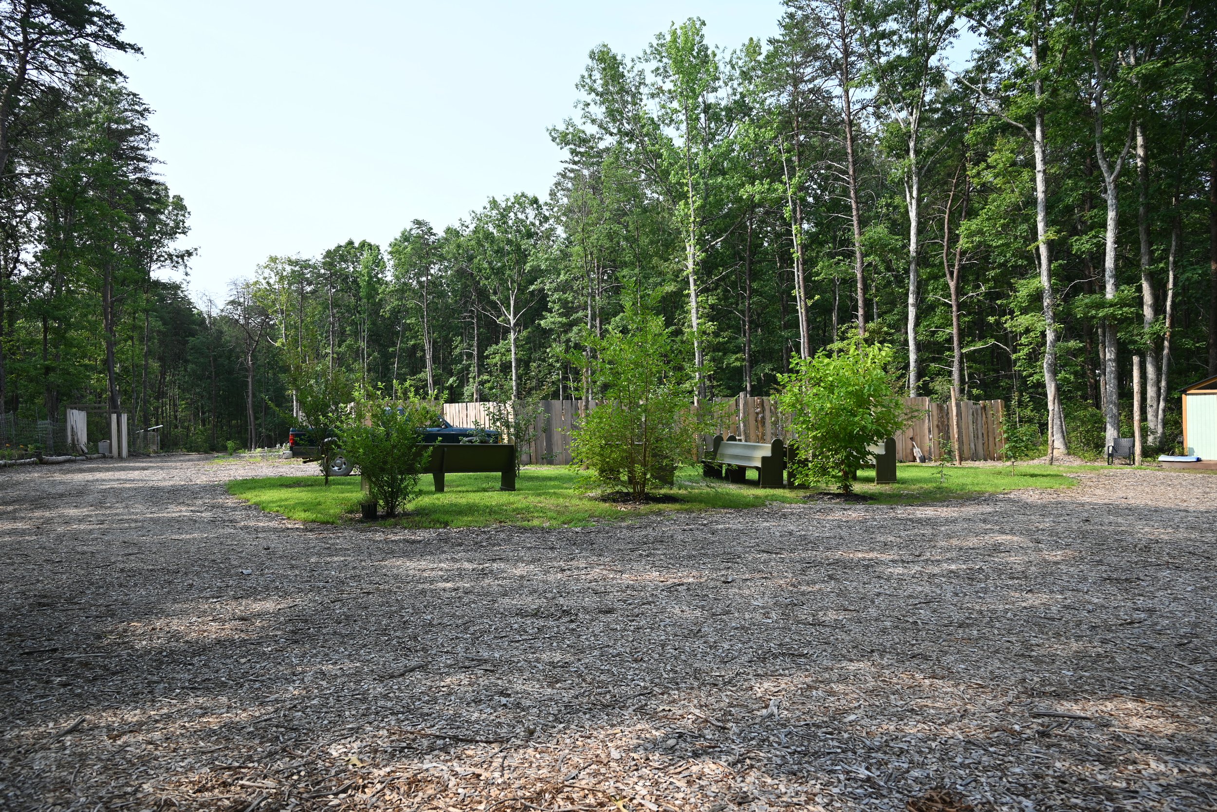 DSC_1033.JPG