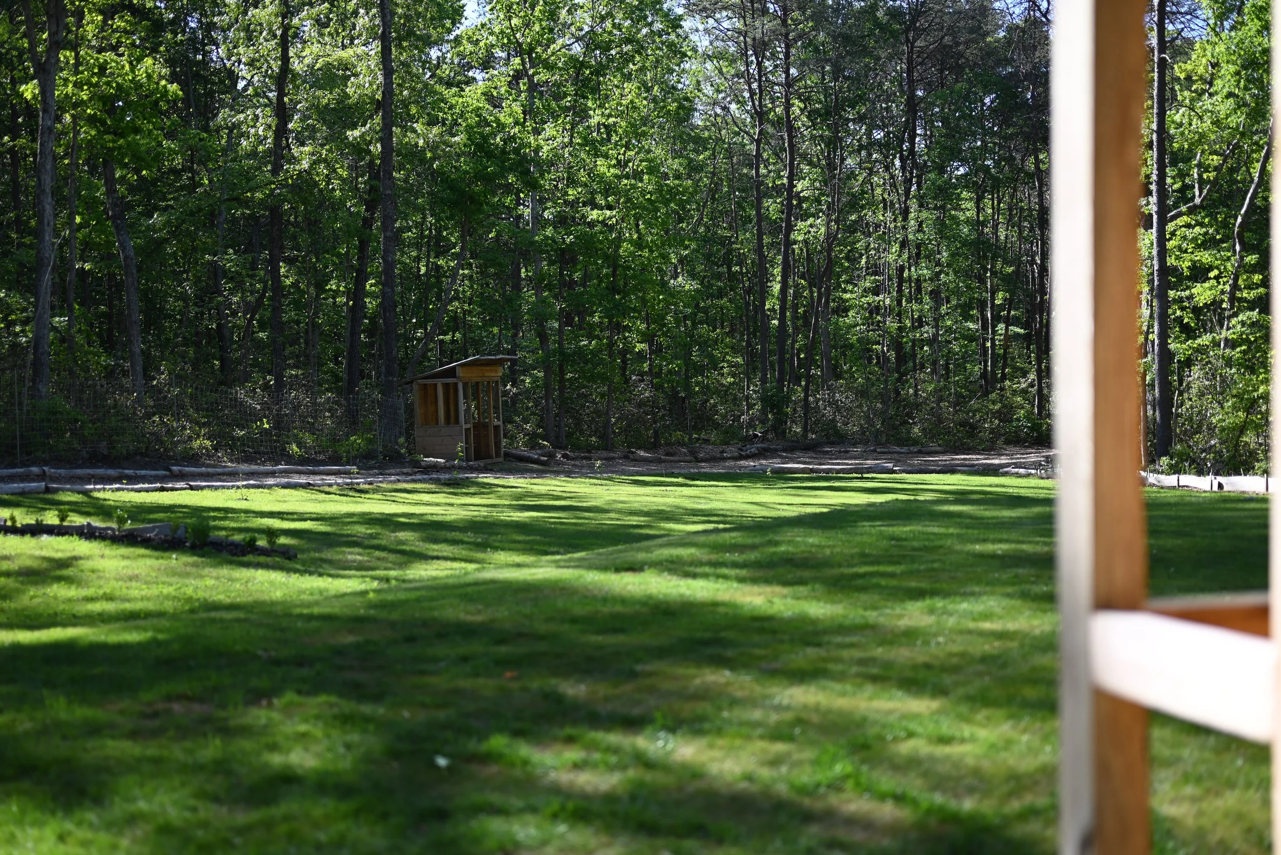 DSC_0867.JPG