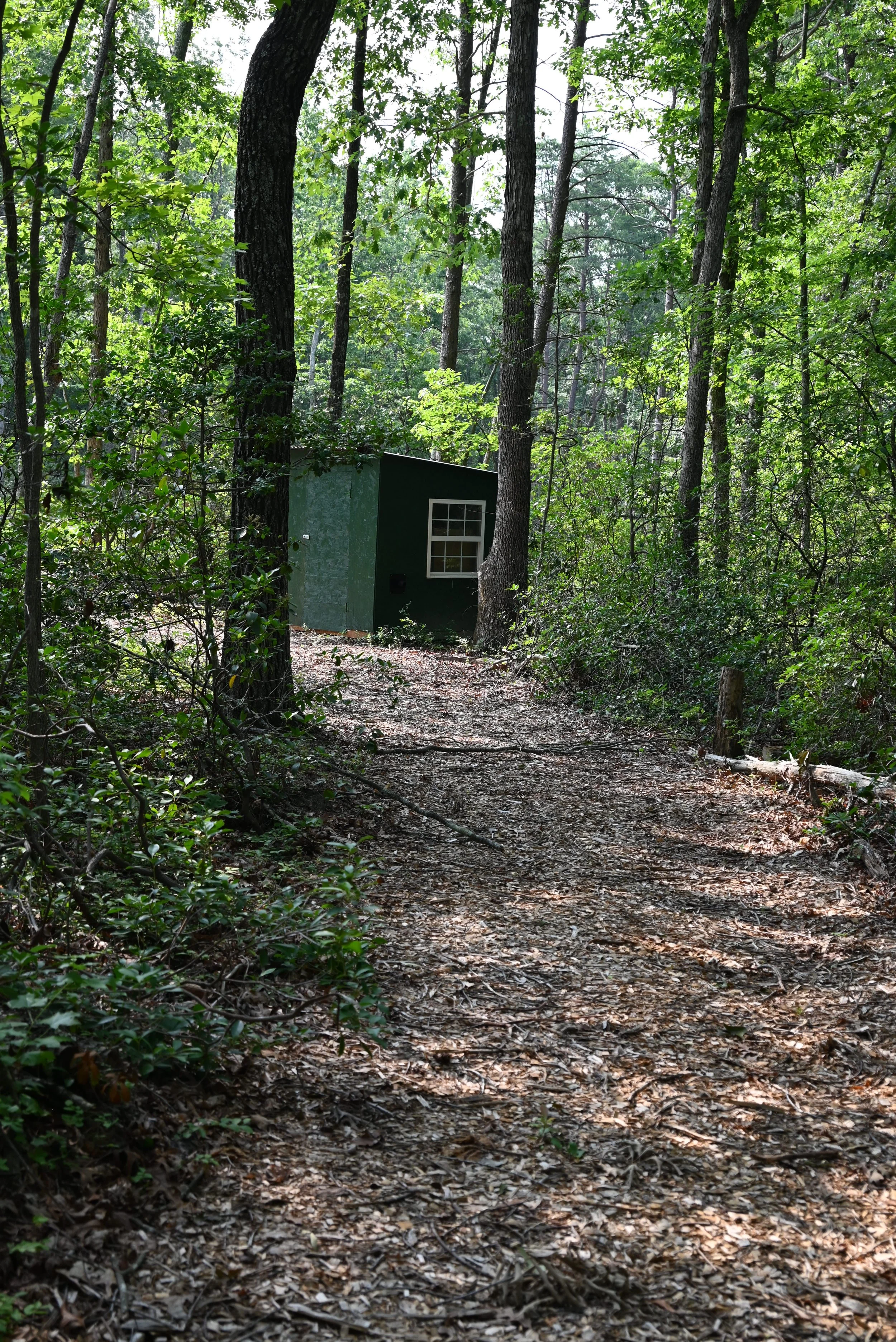 DSC_1040.JPG