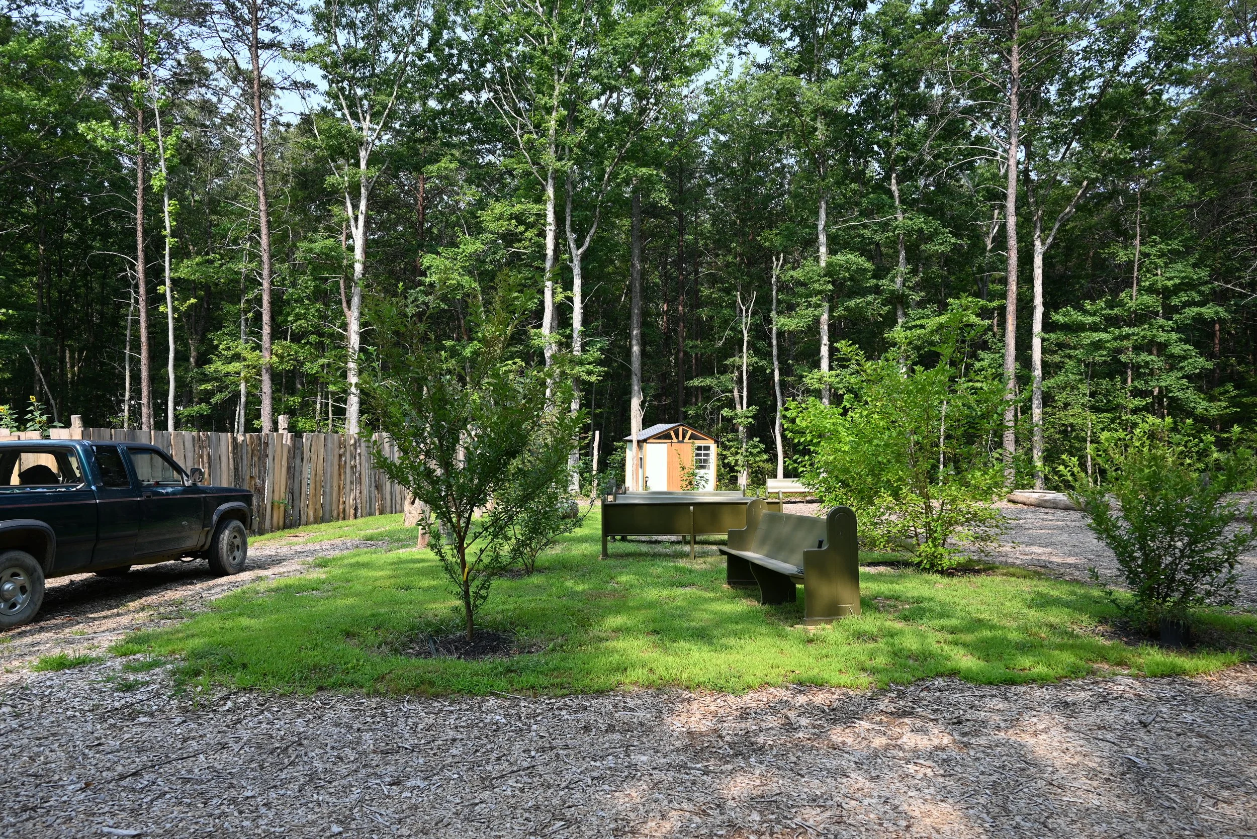 DSC_1029.JPG