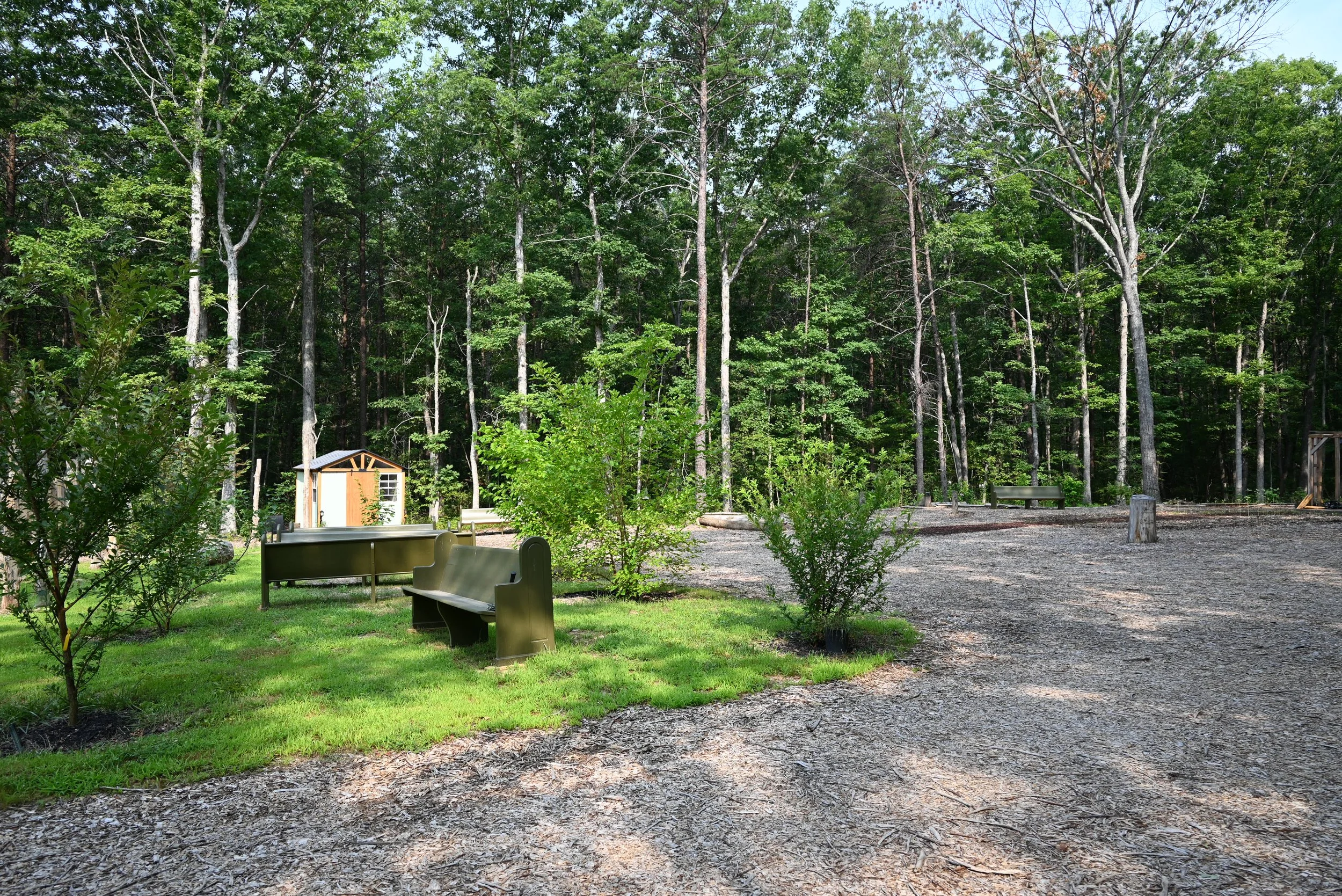 DSC_1030.JPG