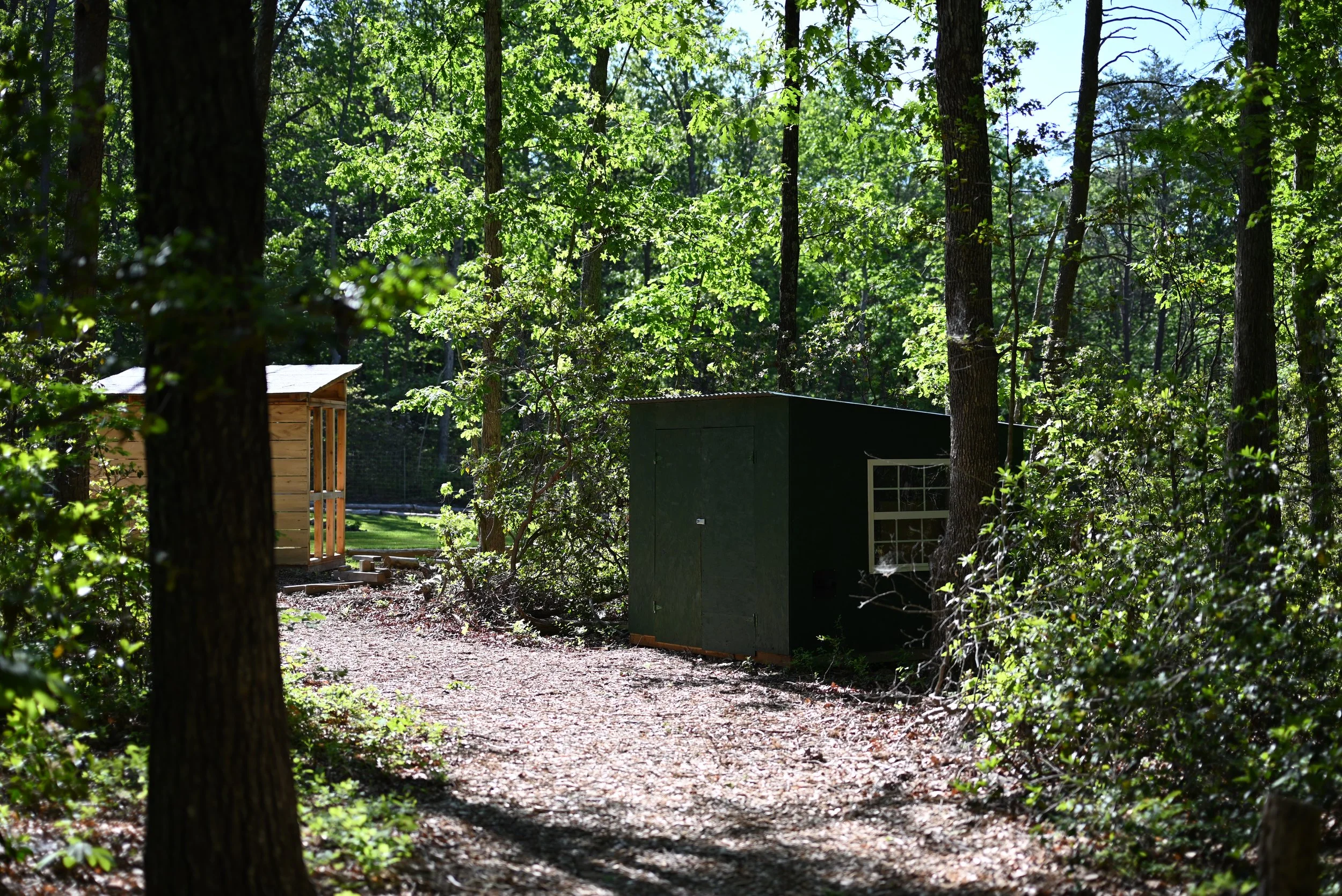 DSC_0864.JPG