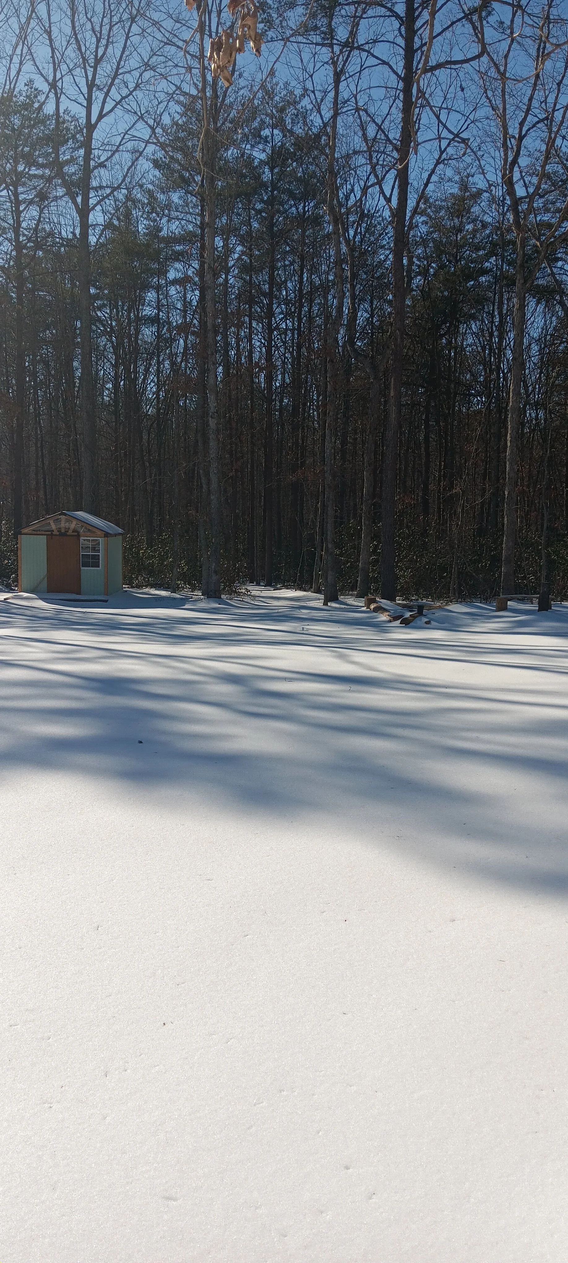 1000008136.jpg