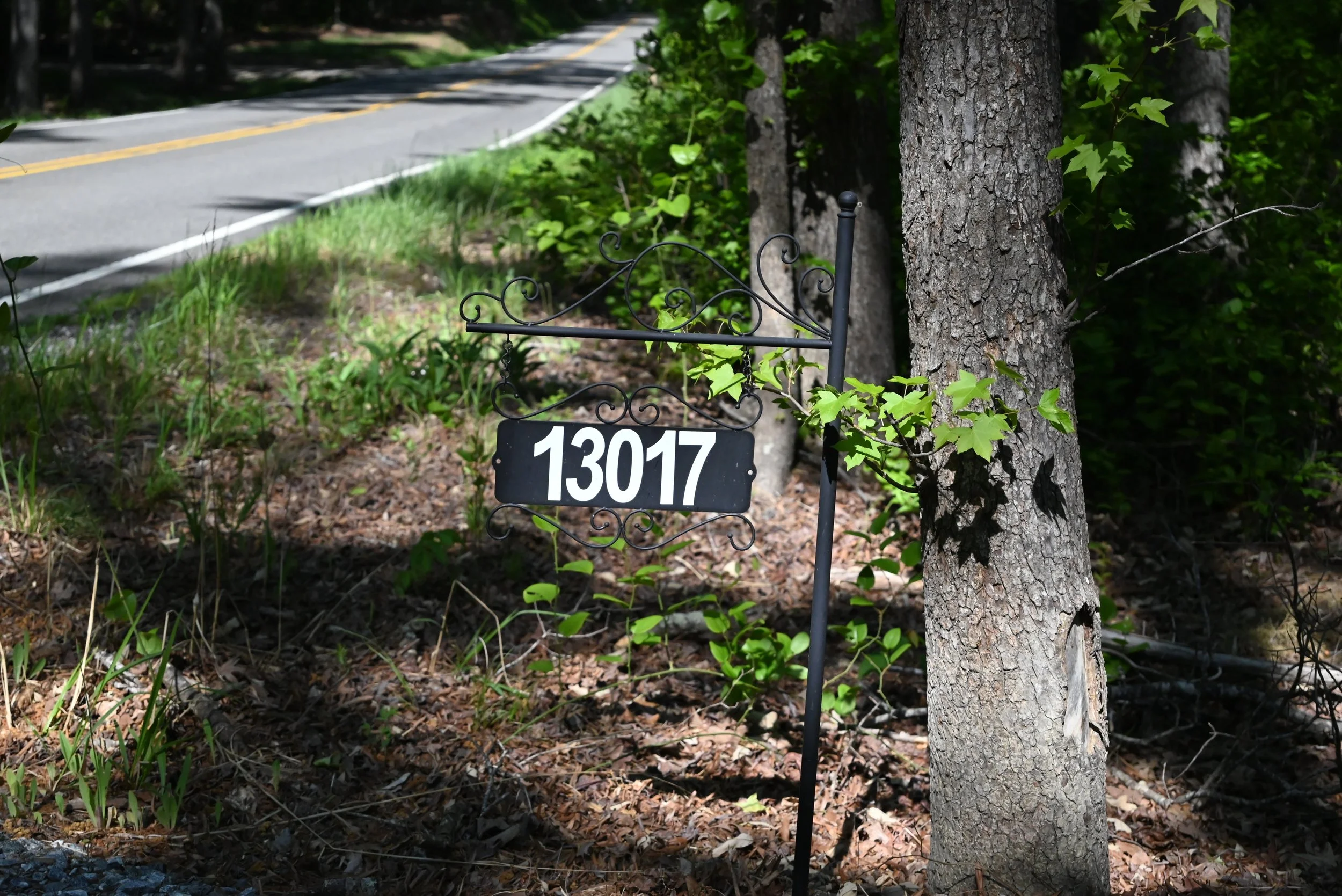DSC_0903.jpg