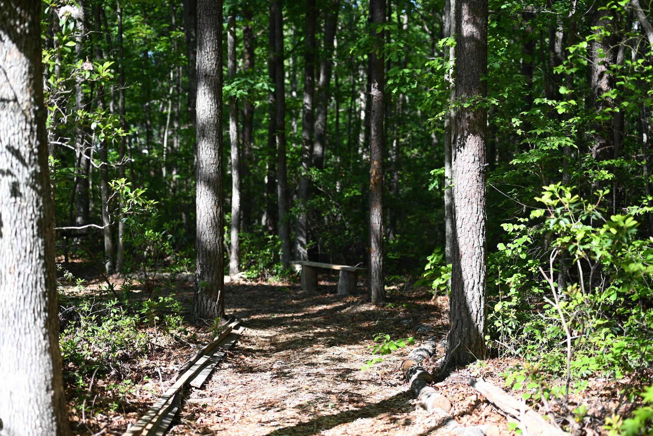 DSC_0863.JPG