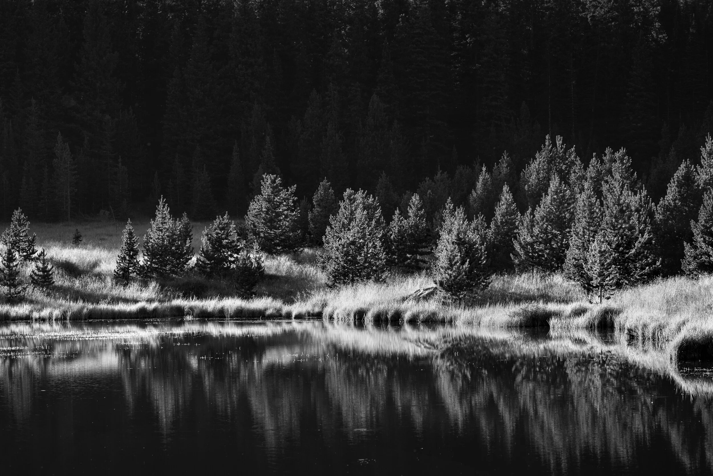 Reflection_Lake_.jpg