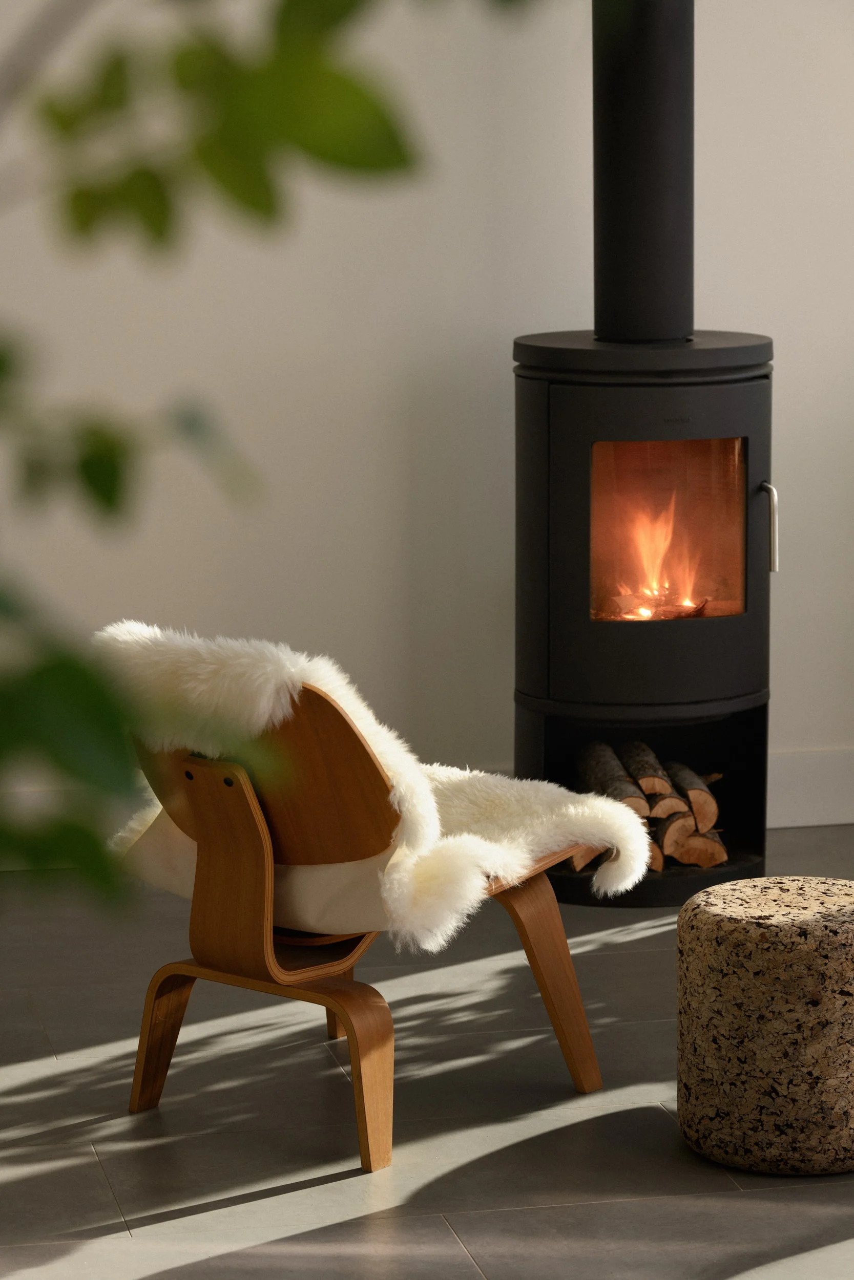 Fireplace_WEB.jpg