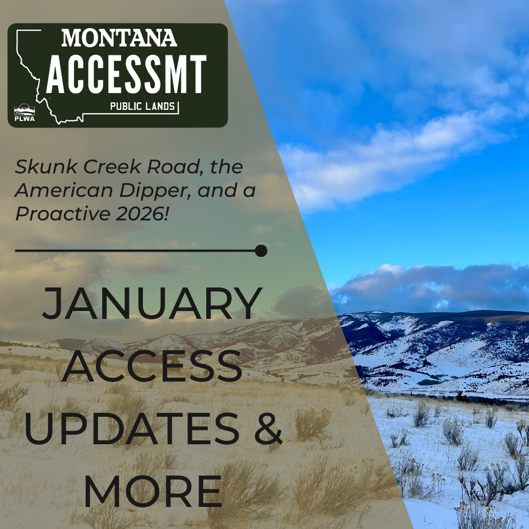 January Access Updates.png